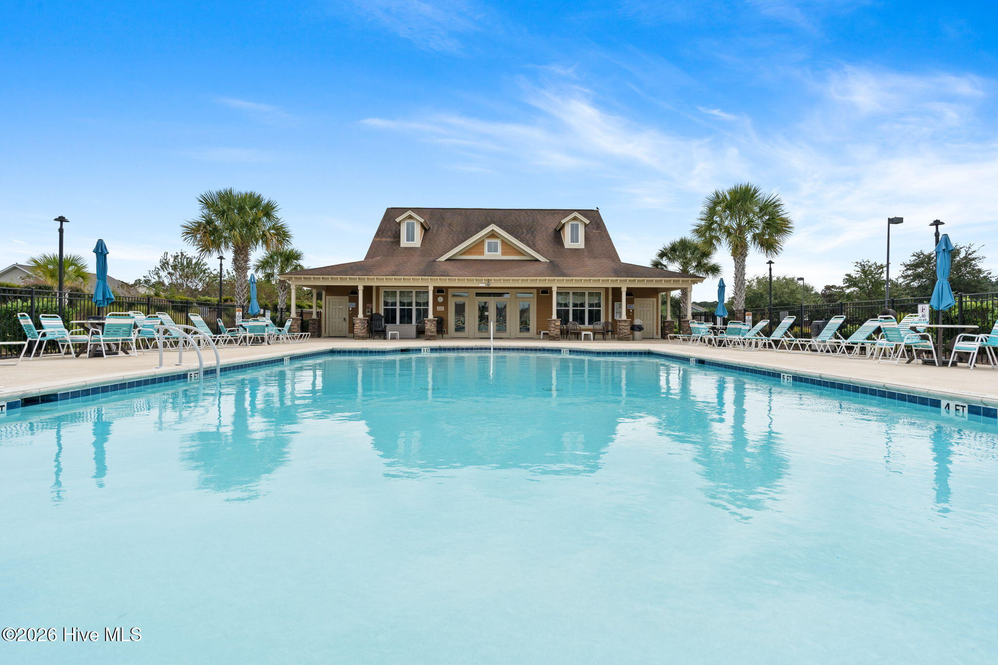 100565577 | Photo 57