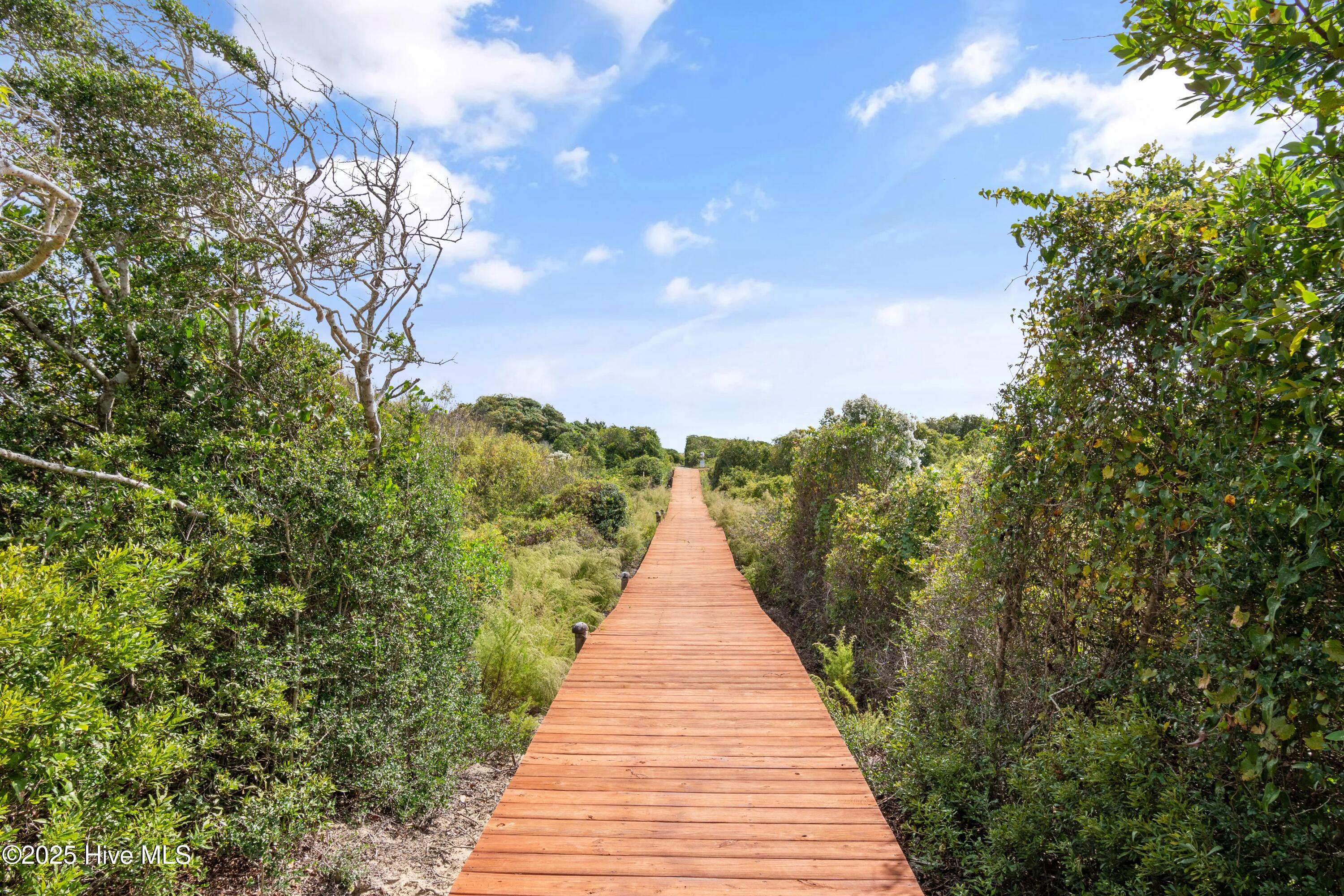 100536702 | Photo 118