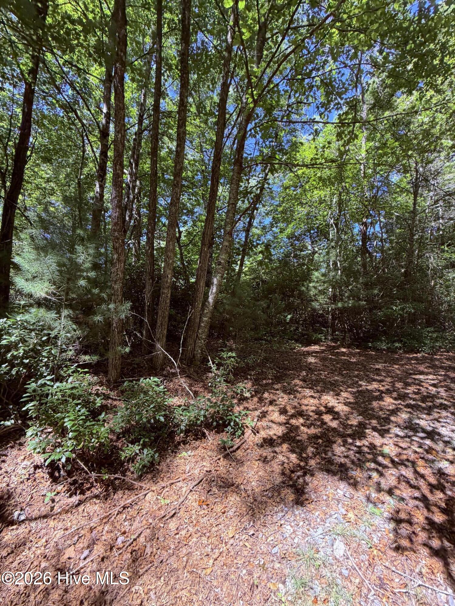 100607475 | Photo 2