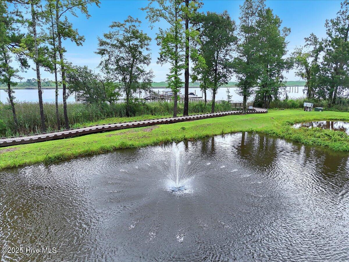 100523445 | Photo 78