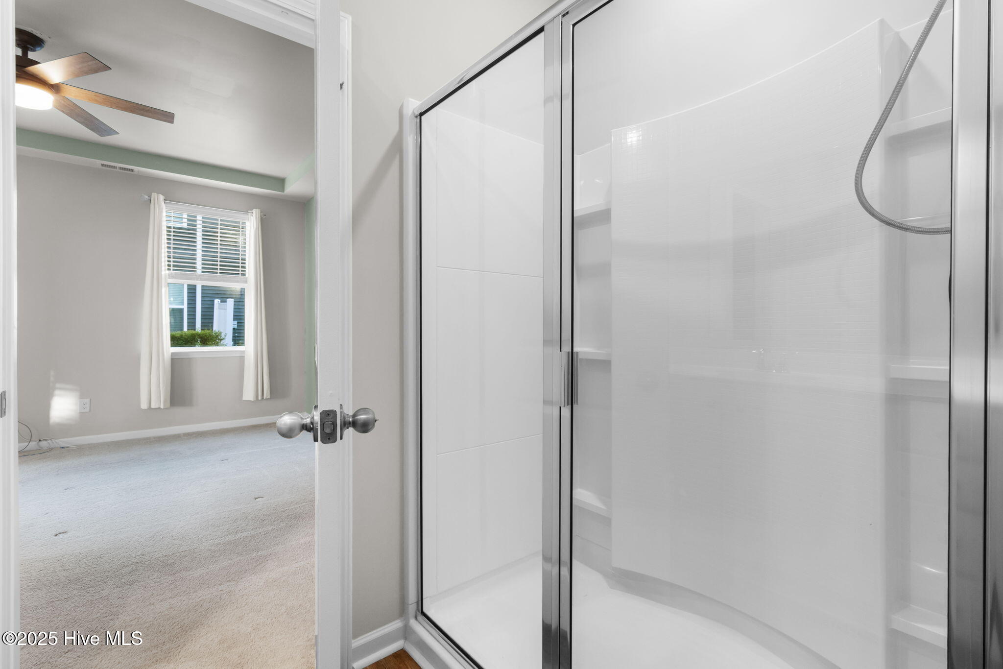 100538168 | Photo 22