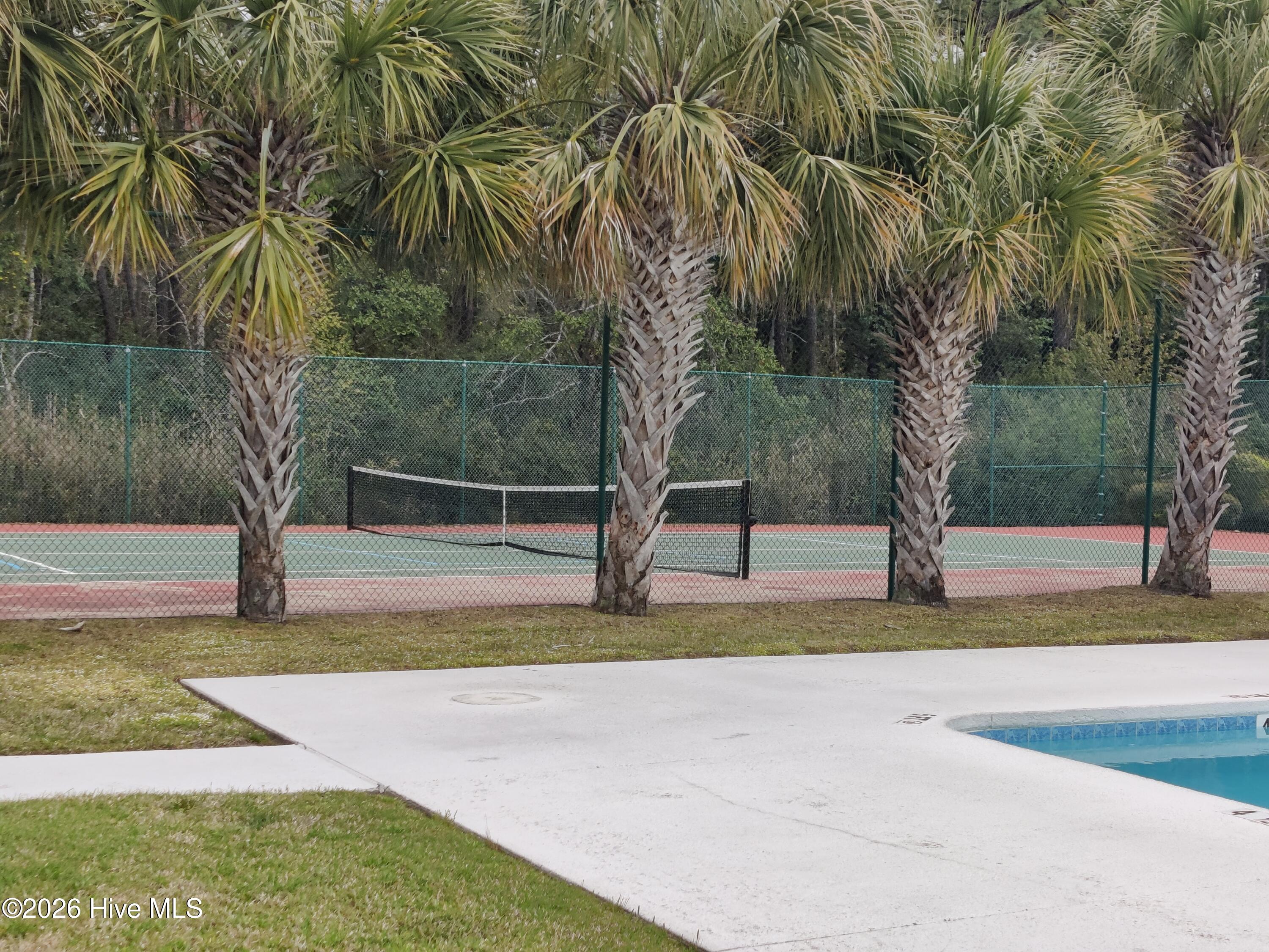 100560065 | Photo 26