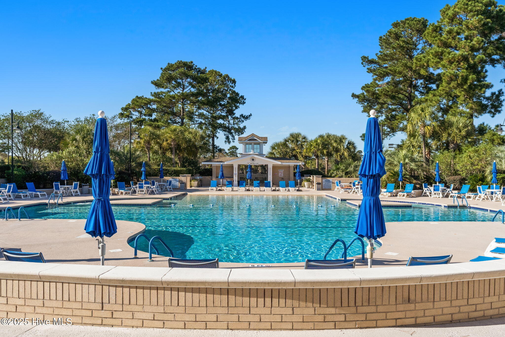 100538091 | Photo 81