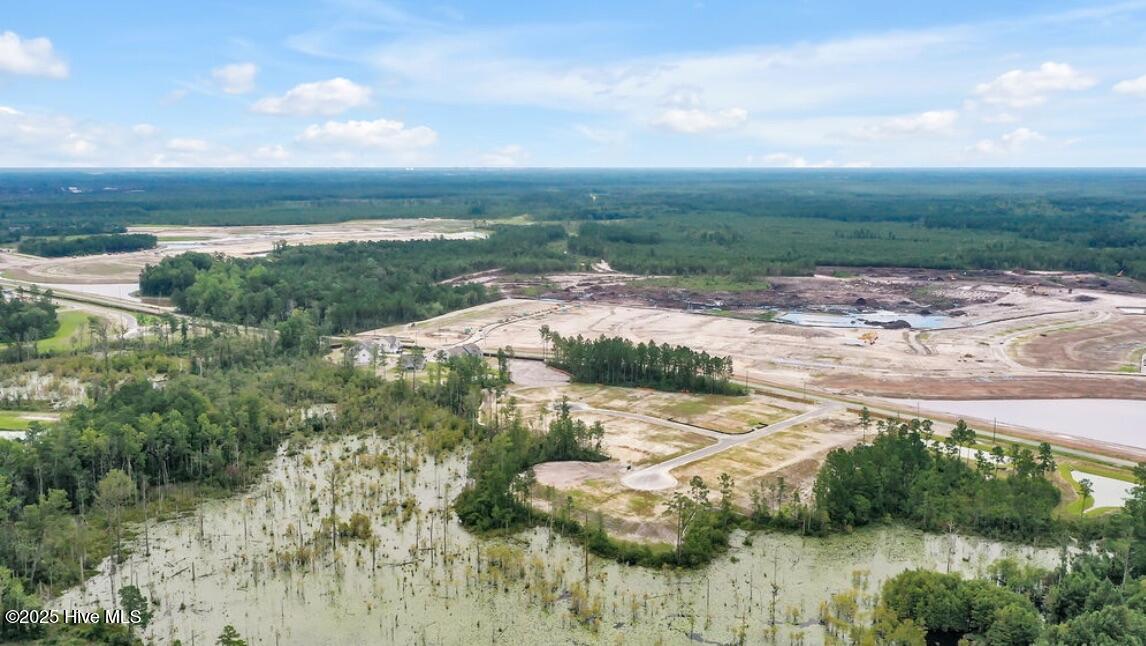 100505784 | Photo 33