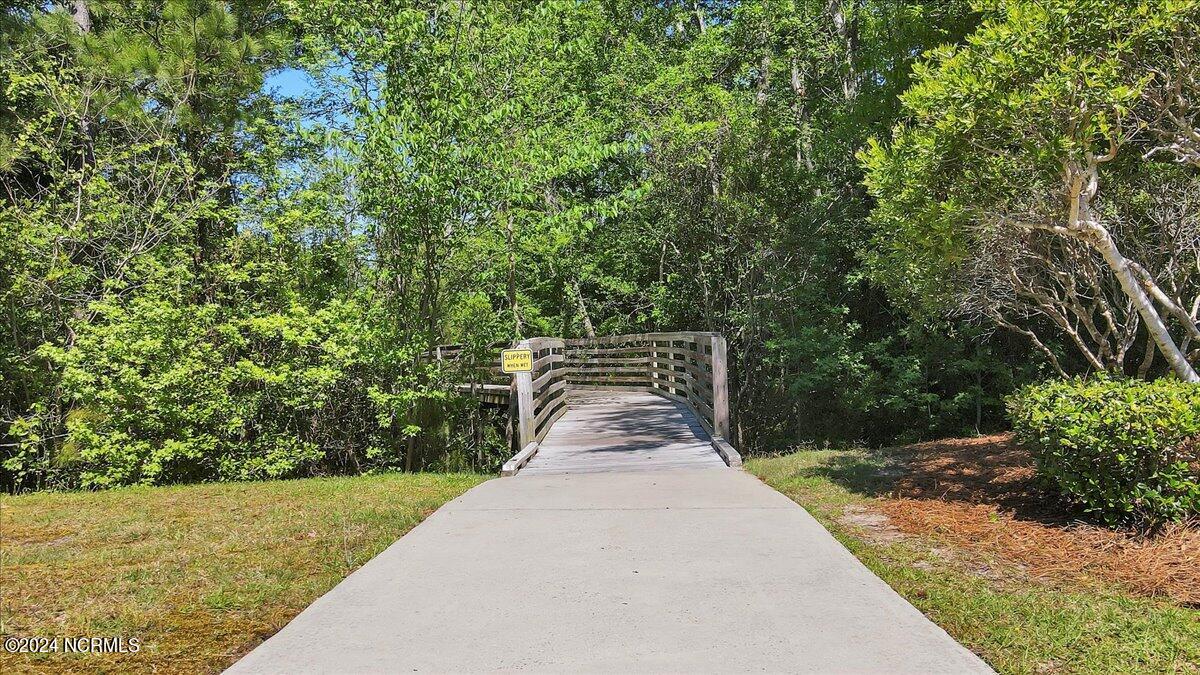 100535365 | Photo 58