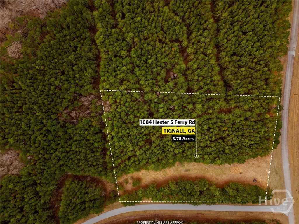 1st image of 1084 S Hesters Ferry Rd, Tignall, GA 30668 | MLS# CL361977