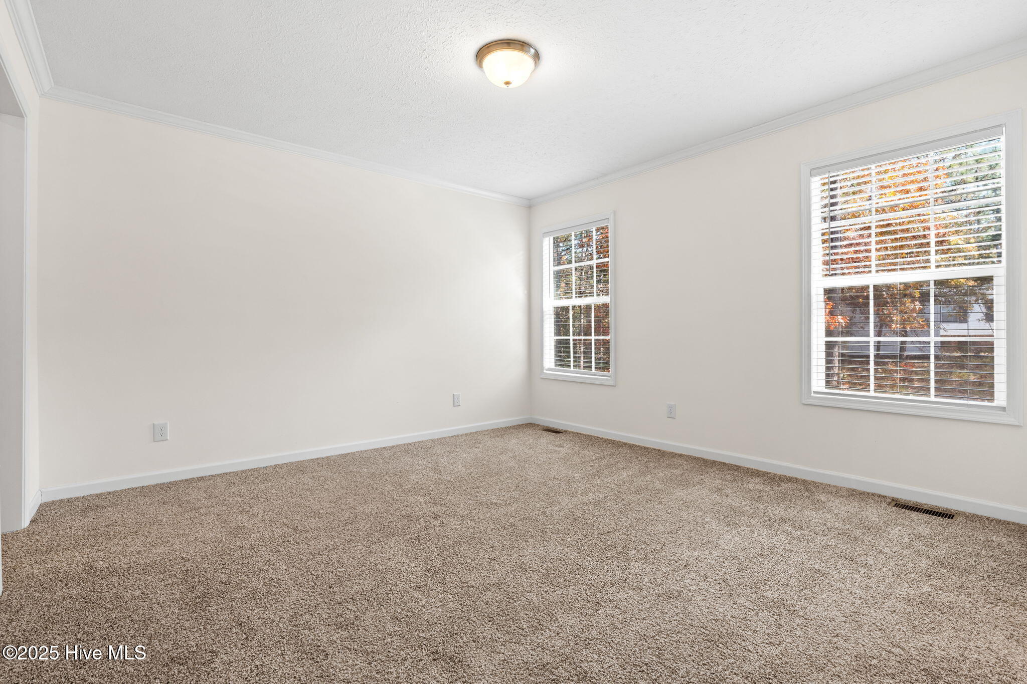 100542585 | Photo 14