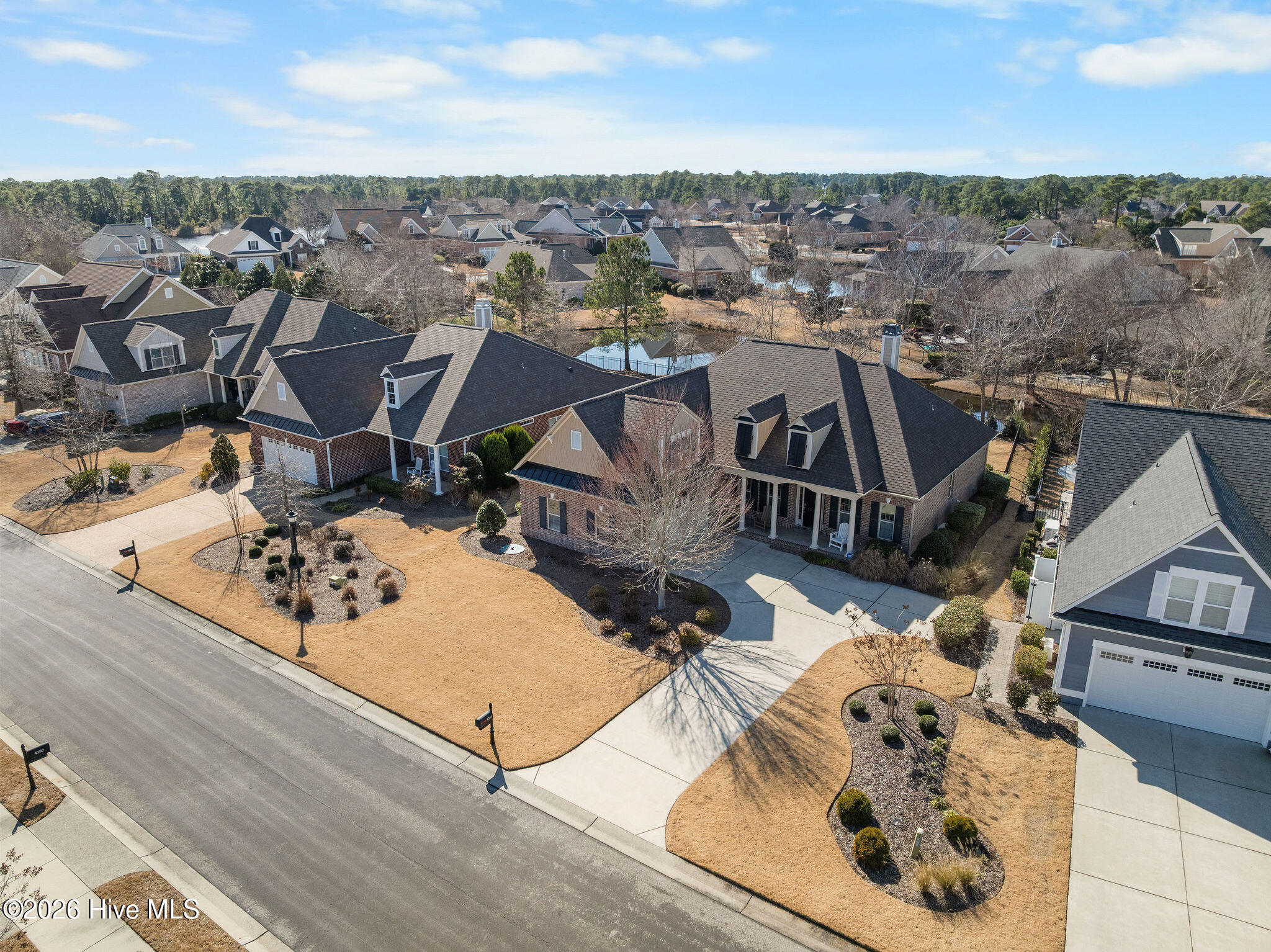 100564801 | Photo 43