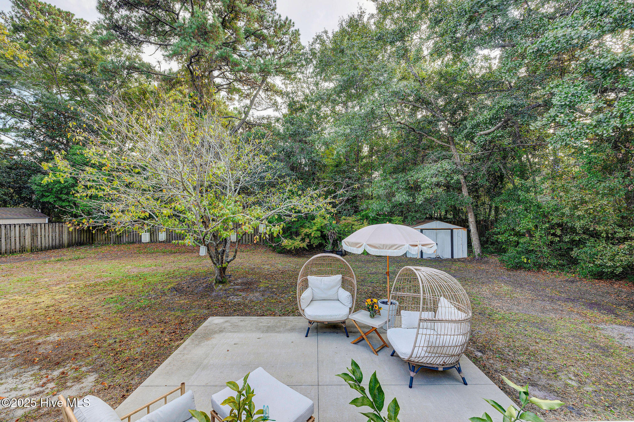 100534059 | Photo 61