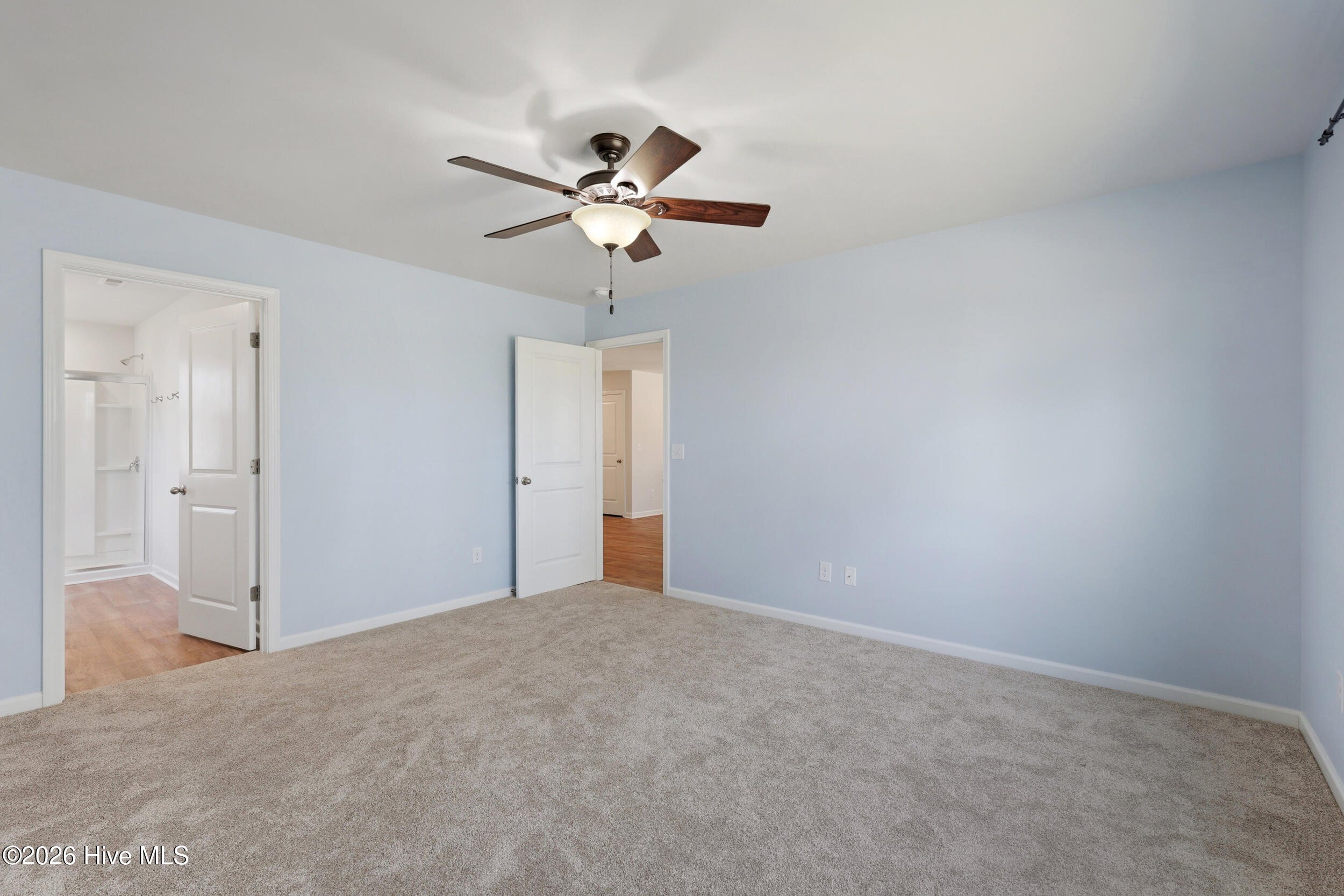 100563089 | Photo 17