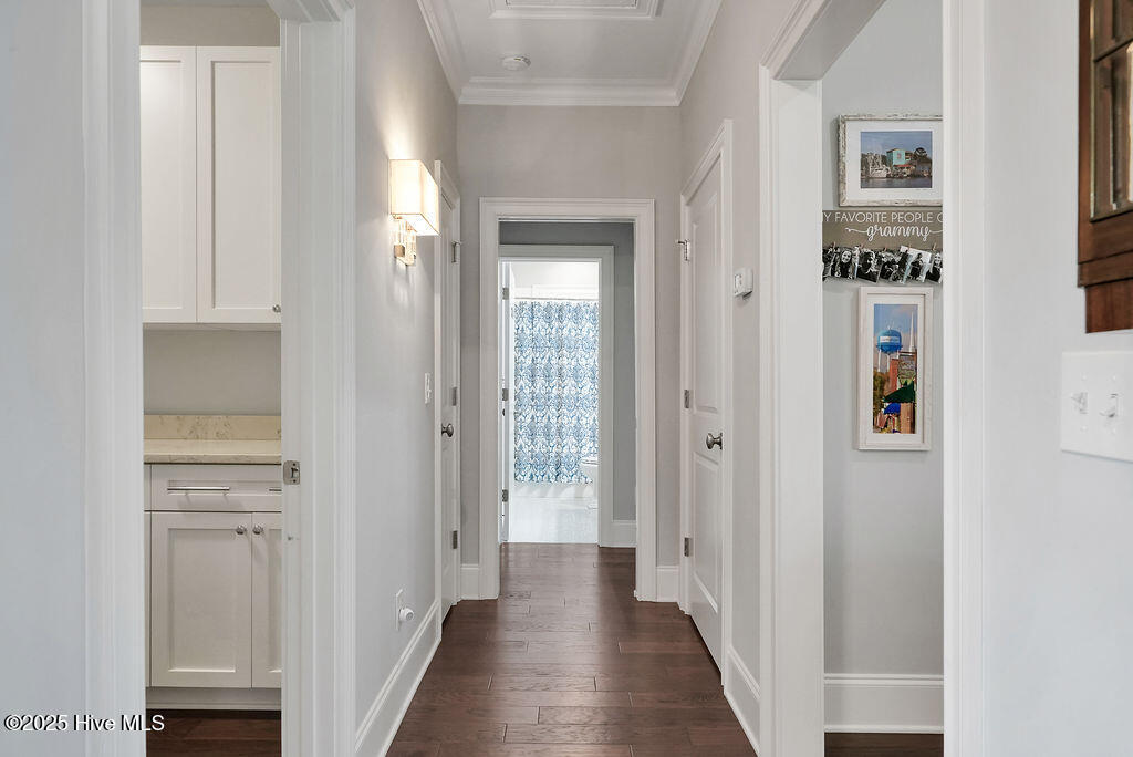 100535005 | Photo 20