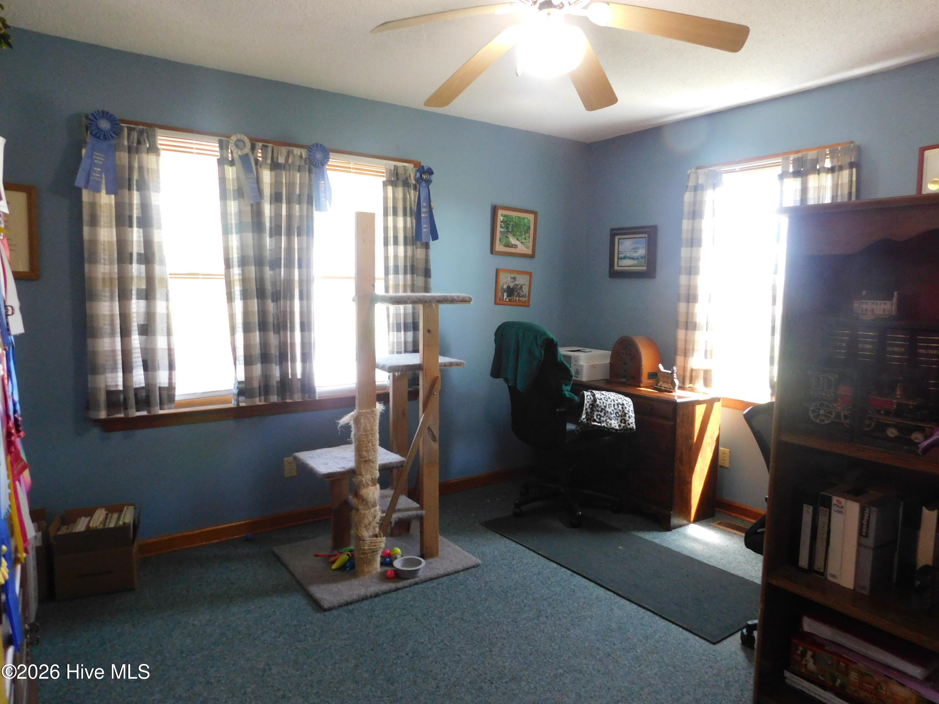 Exterior photo of 163 Bagley Swamp Road, Hertford, NC 27944. MLS: 100590082