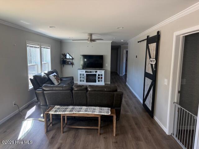 100555243 | Photo 24