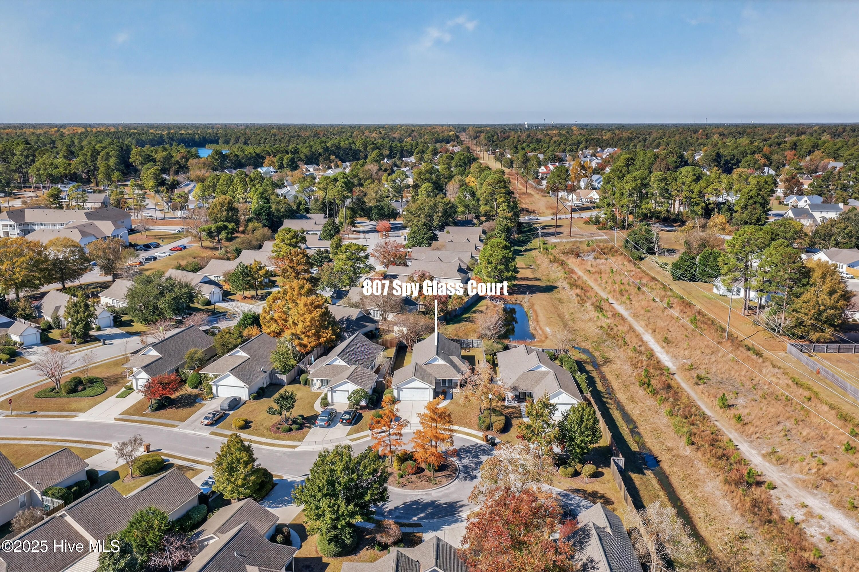 100541920 | Photo 36