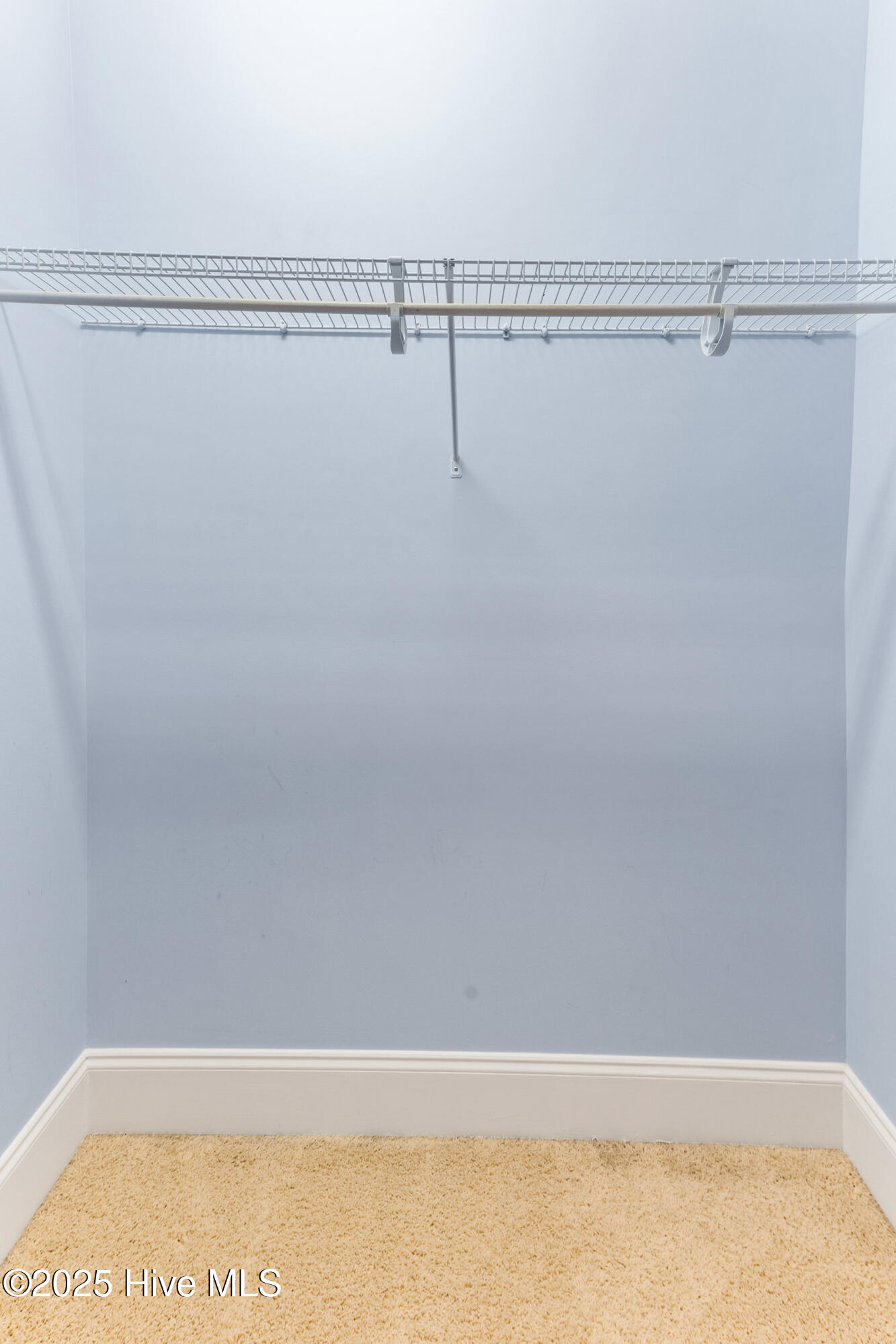 100518149 | Photo 17