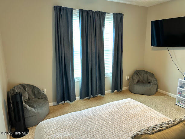 100560235 | Photo 32