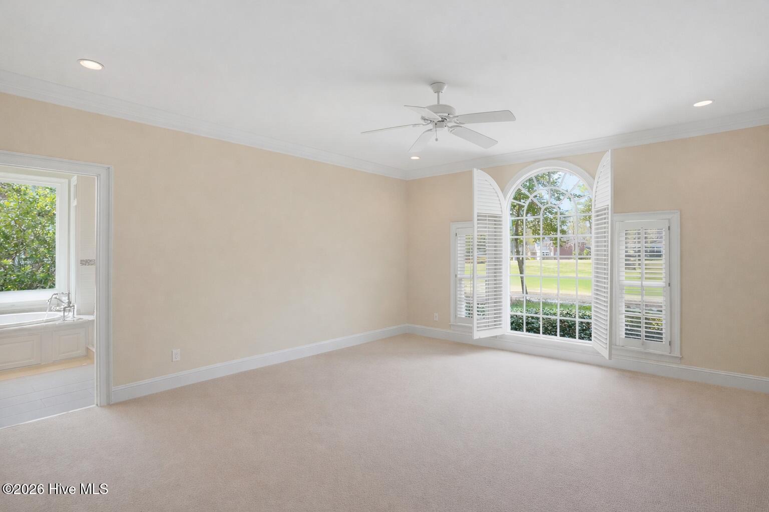 100563171 | Photo 23