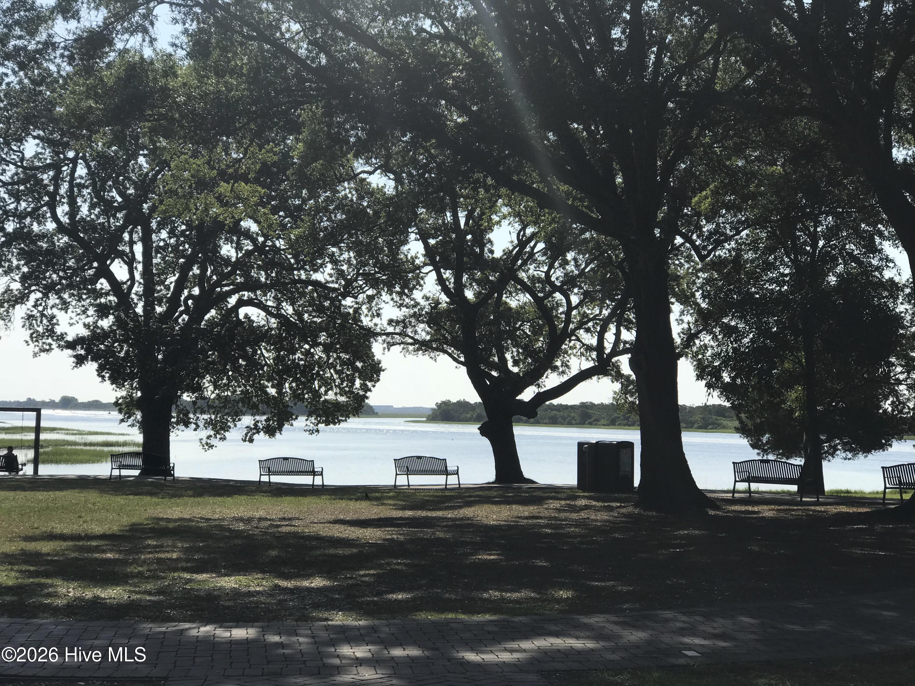 100561295 | Photo 63