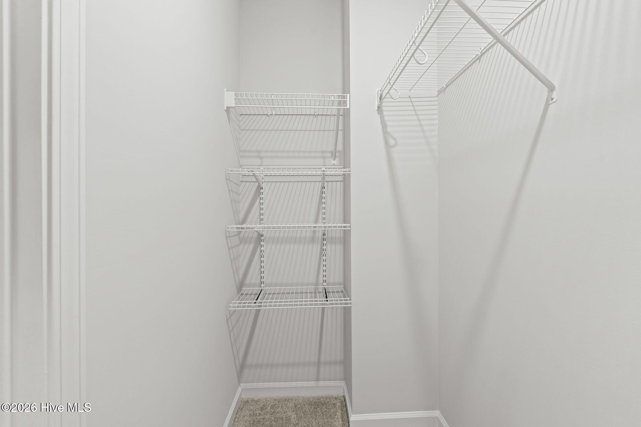 100567065 | Photo 30