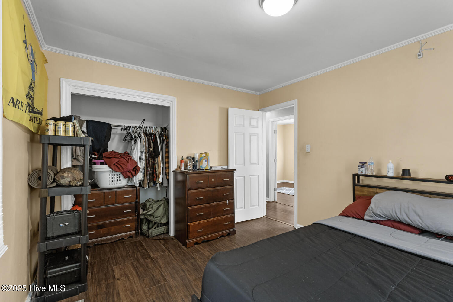 100535503 | Photo 19