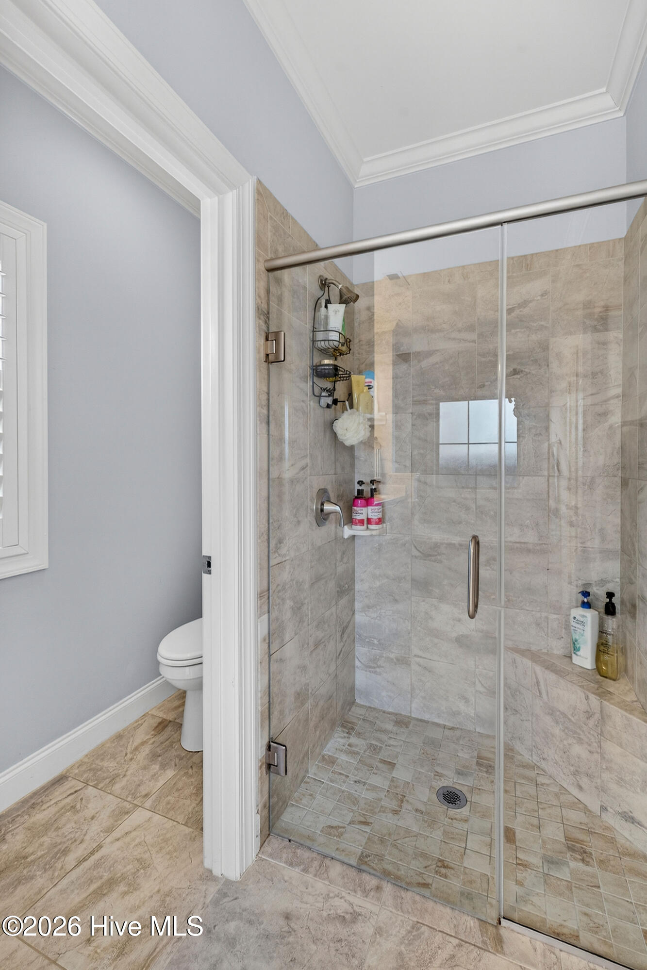 100554846 | Photo 43