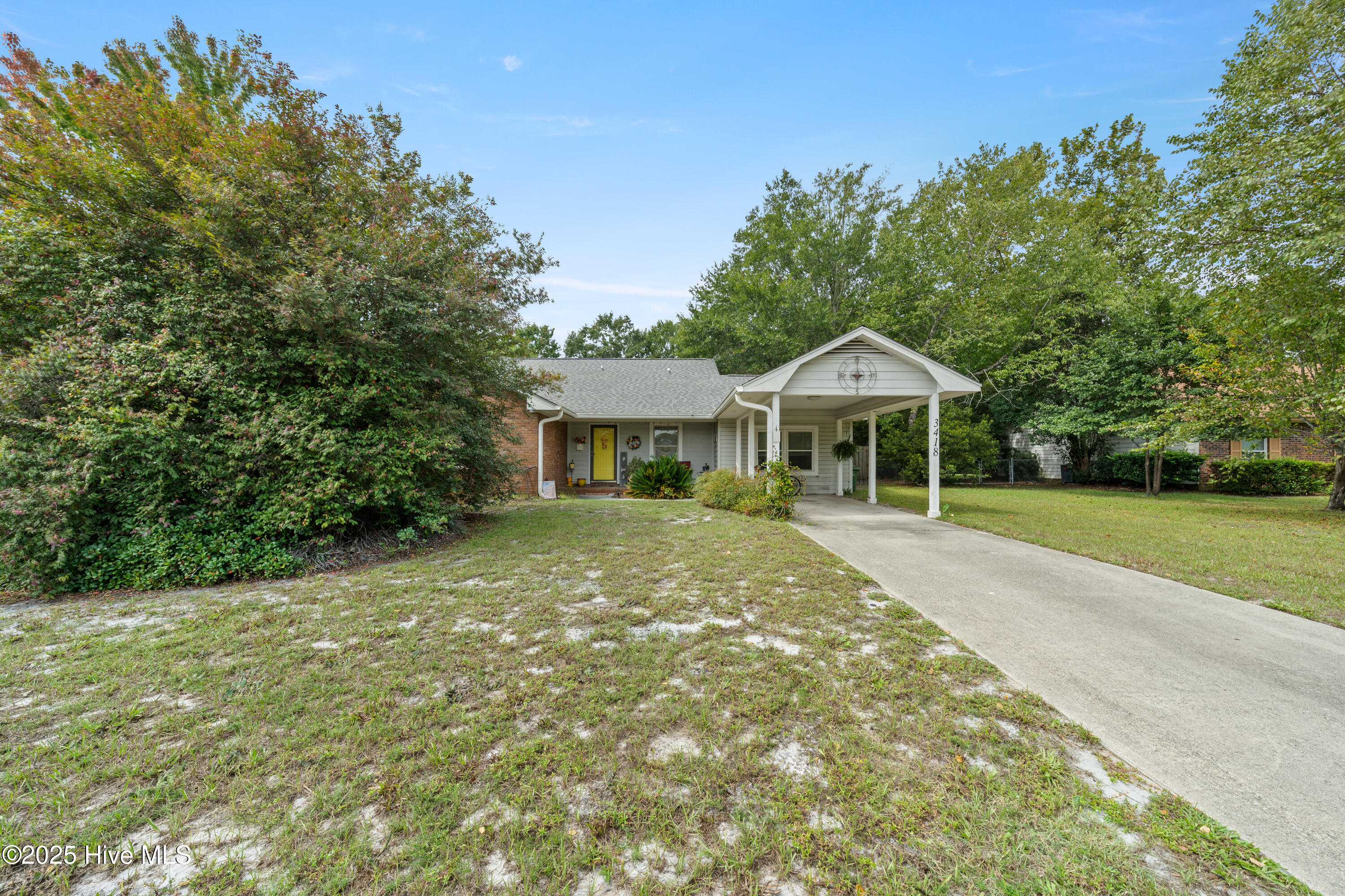 3418MarshHawkCt-1004