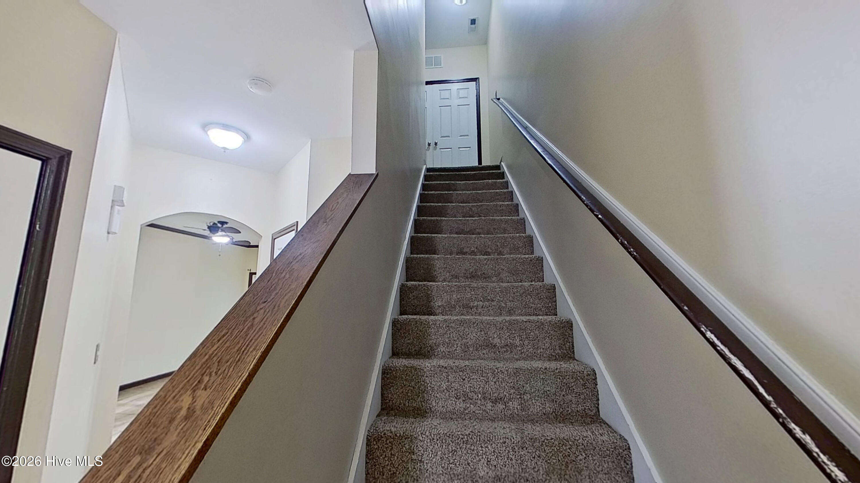 100554824 | Photo 10