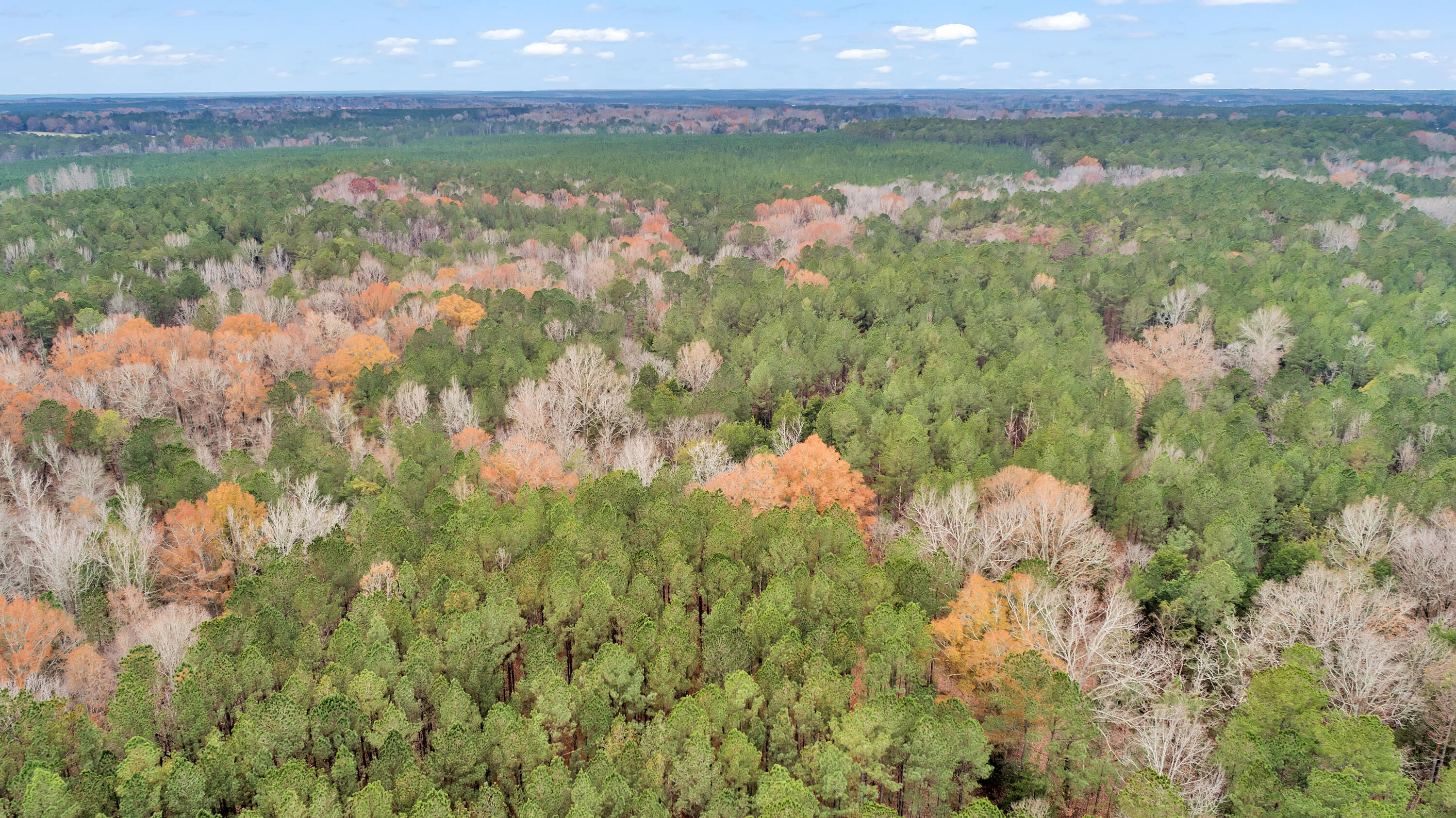 Saggus Rd land 121-007A, 200ft View, Dro