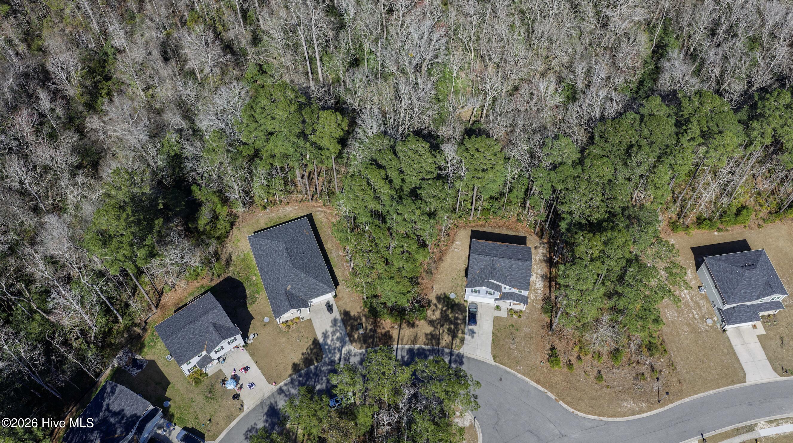 100559015 | Photo 11