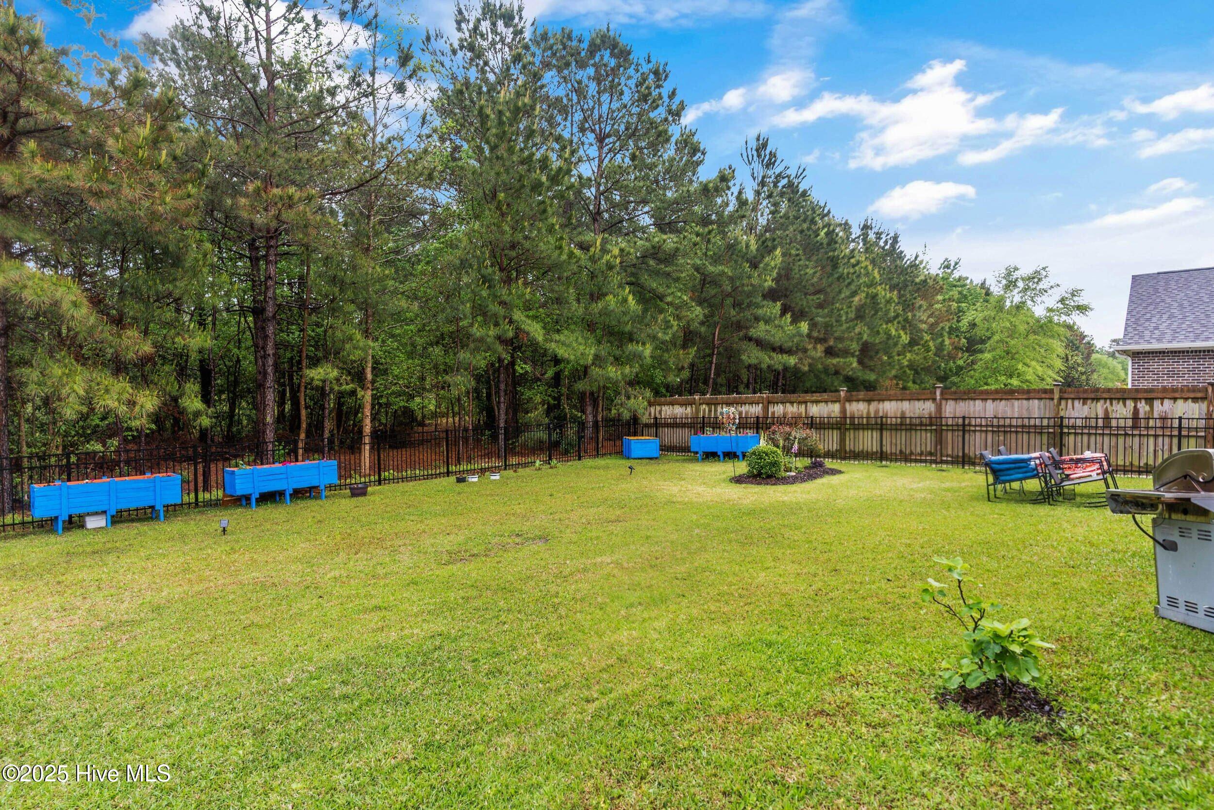 100506043 | Photo 64