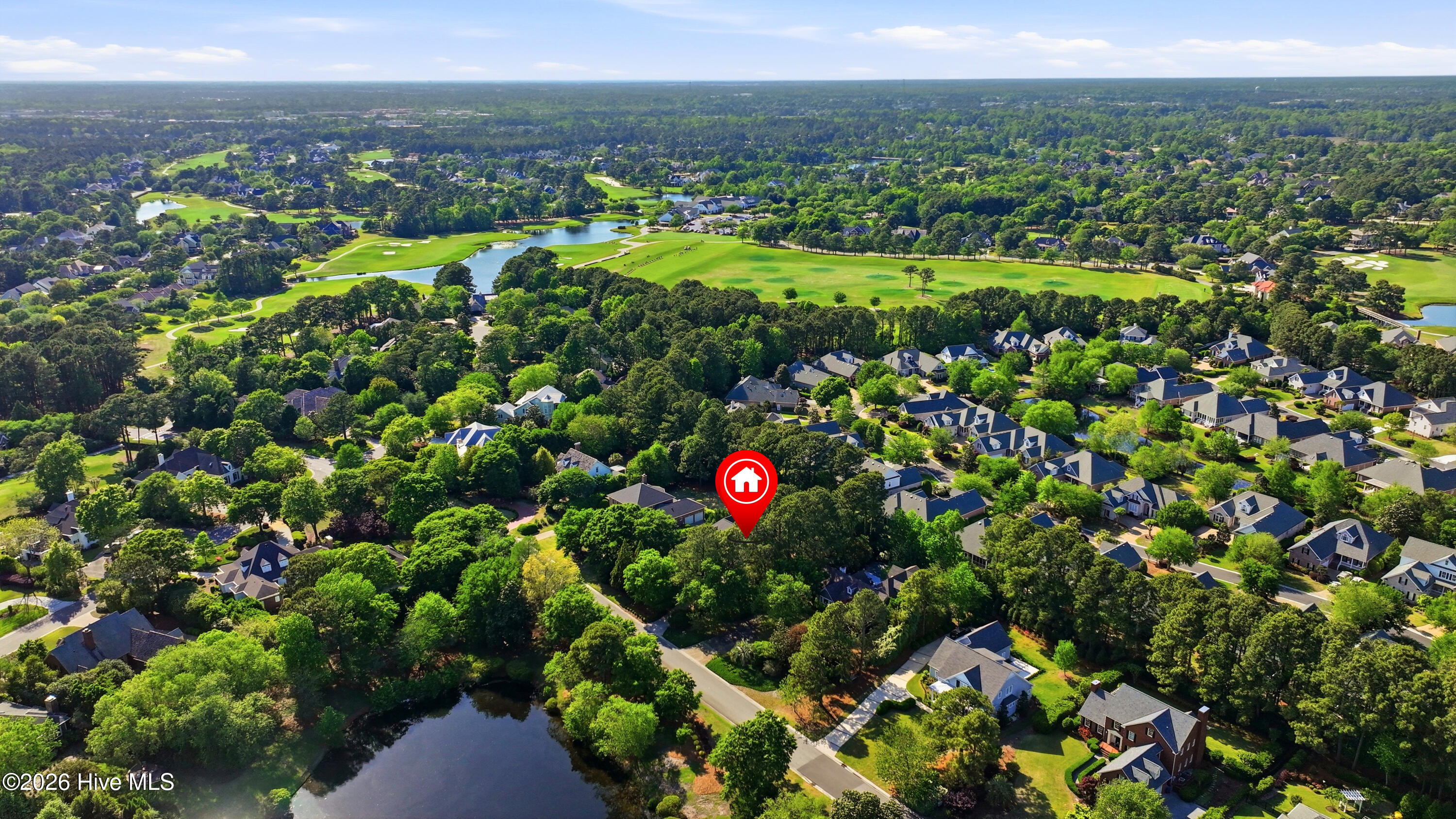 100567999 | Photo 56