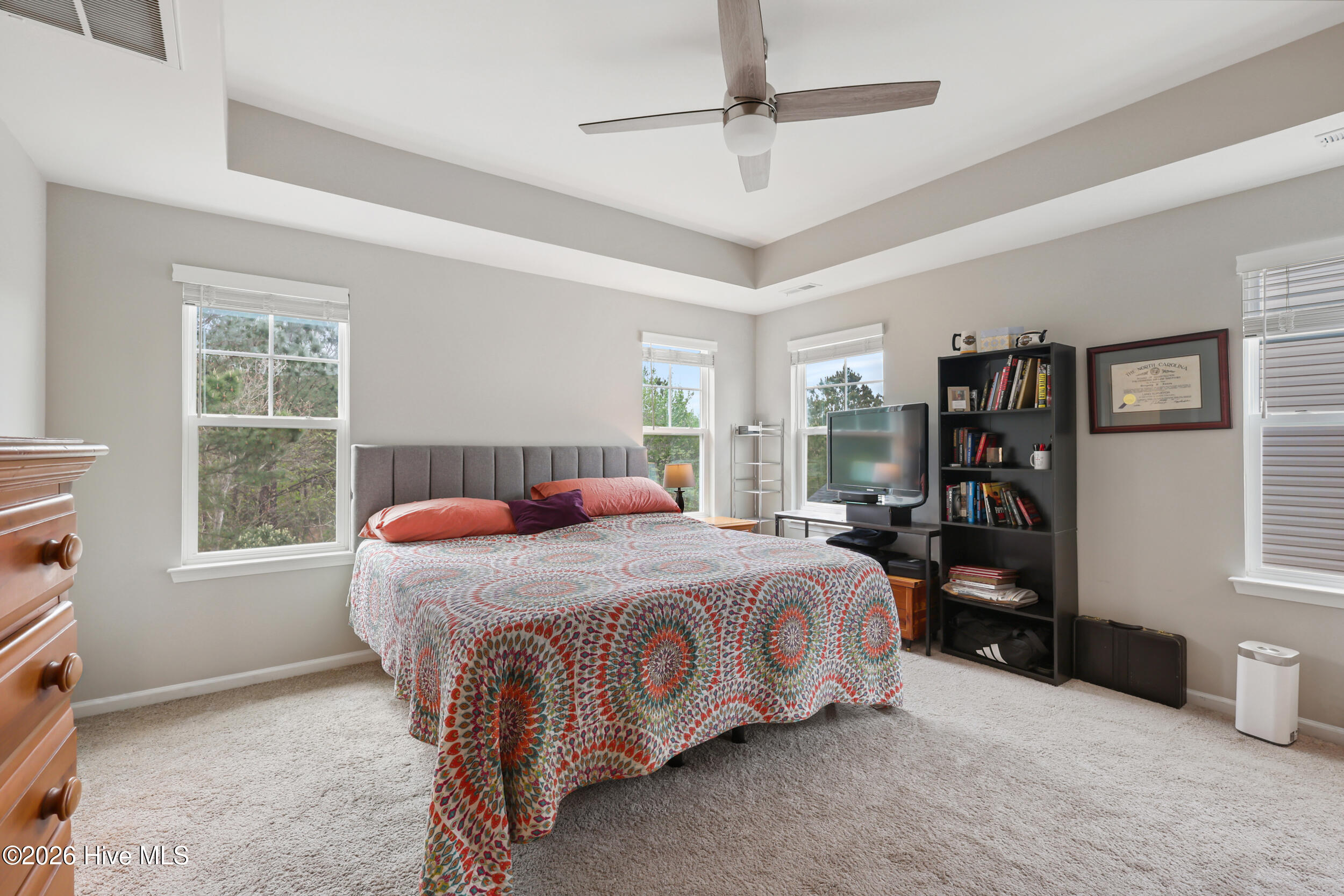 100565604 | Photo 17