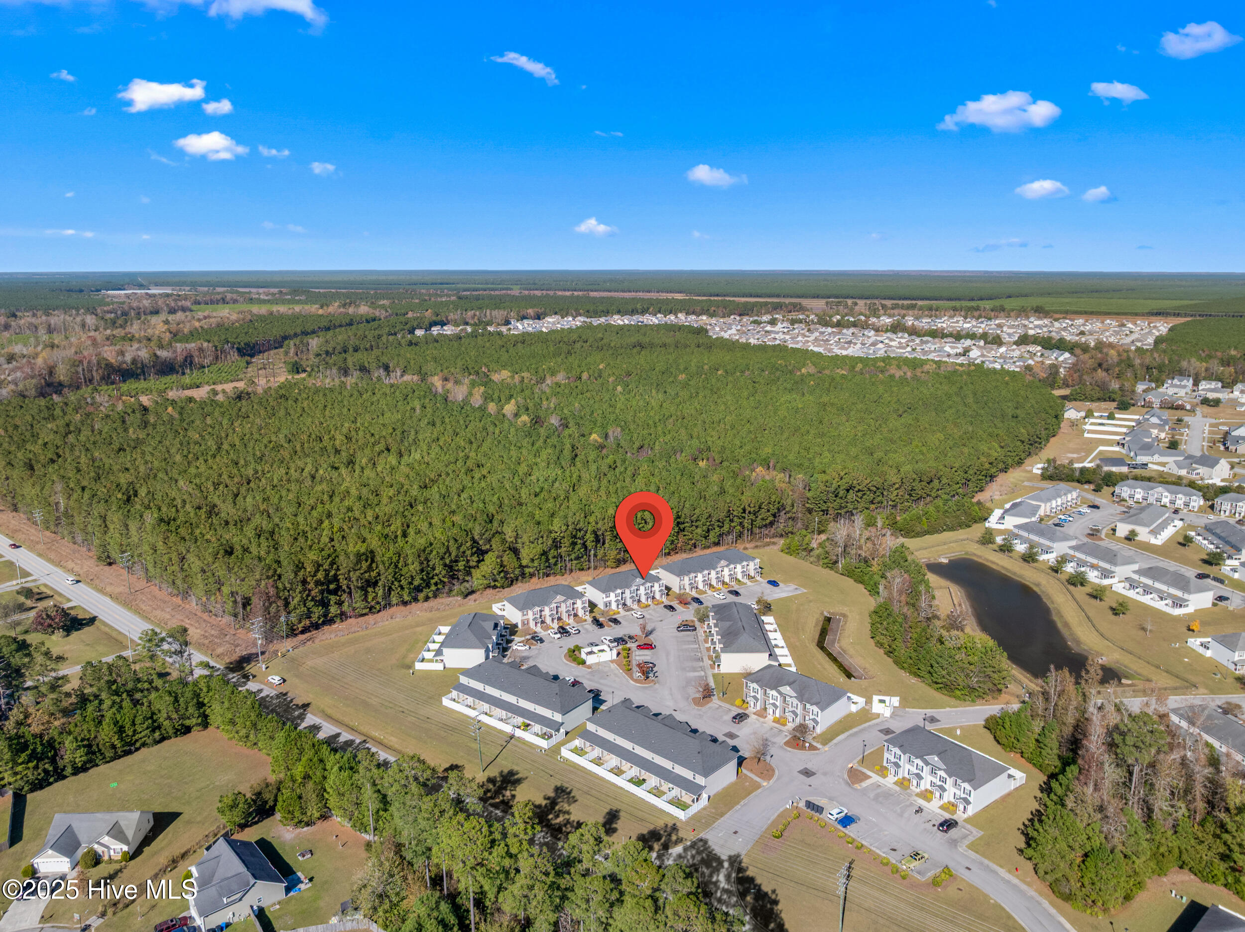 100541514 | Photo 38