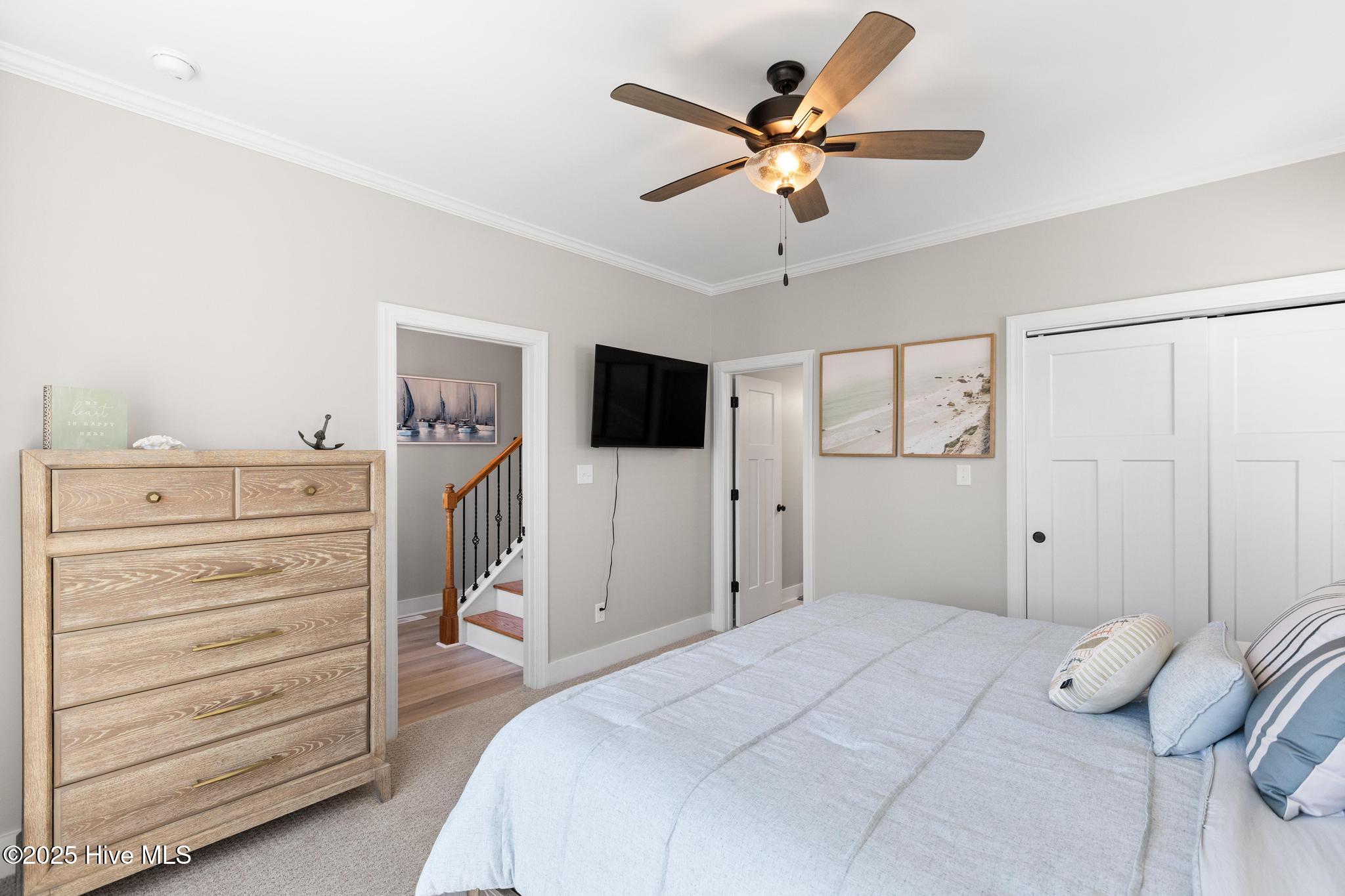 100498543 | Photo 35