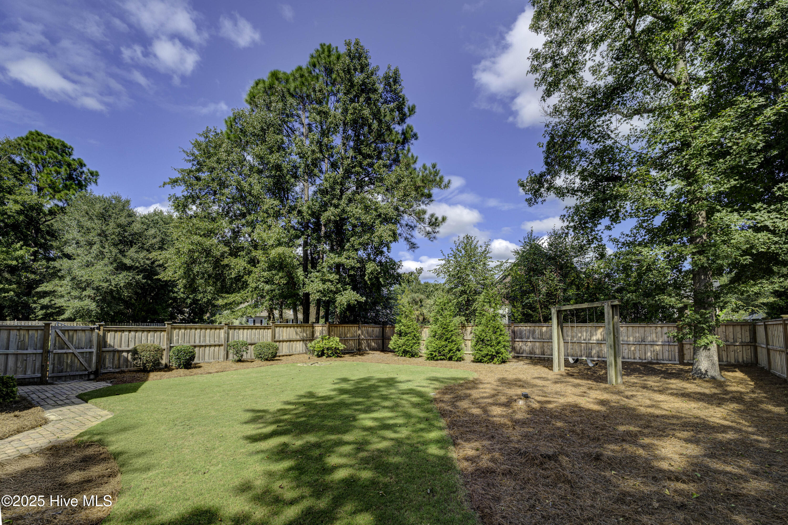 100535158 | Photo 57