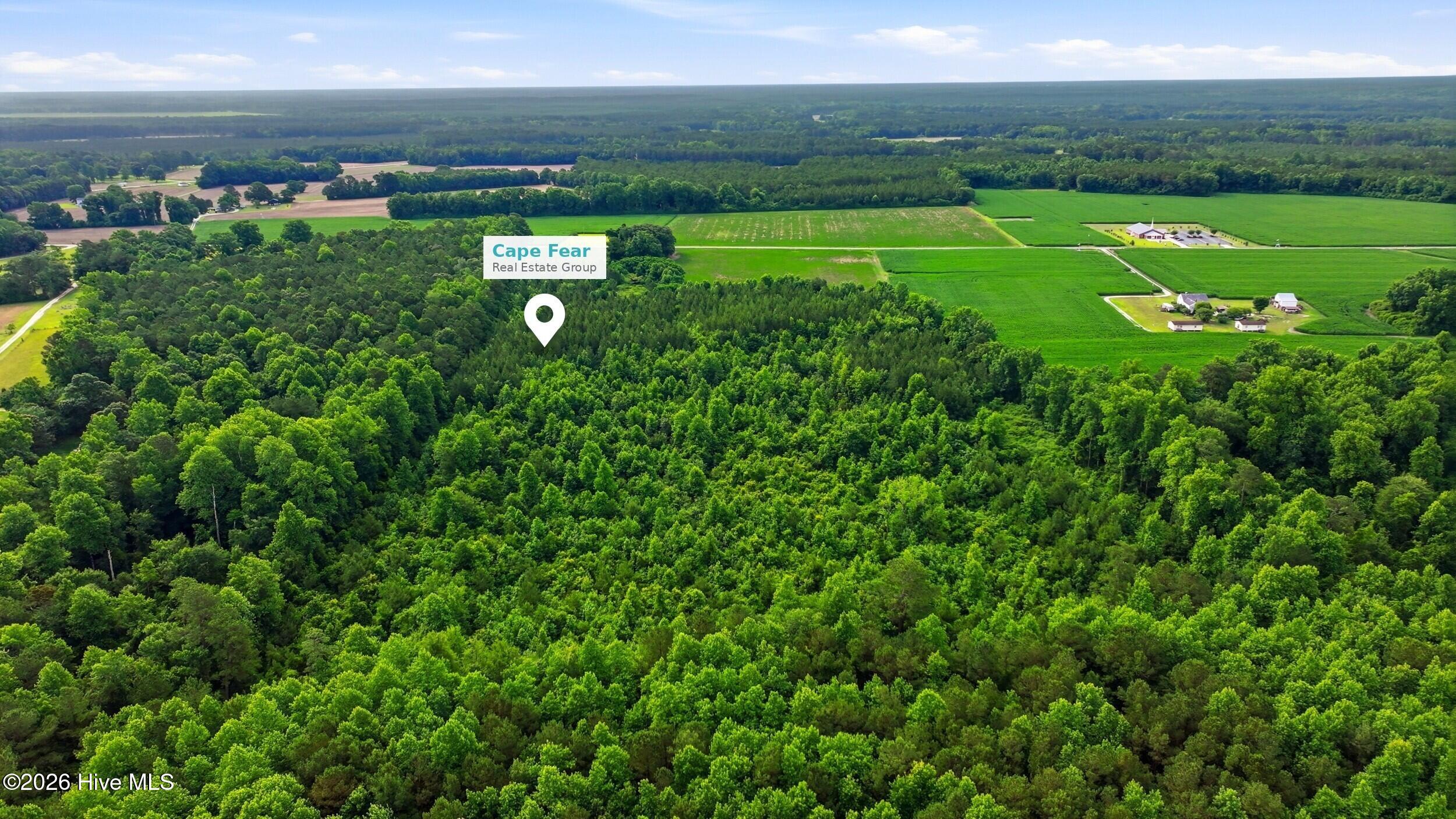 3rd image of Lot 9 Point Caswell Road, Willard, NC 28478 | MLS# 100597335