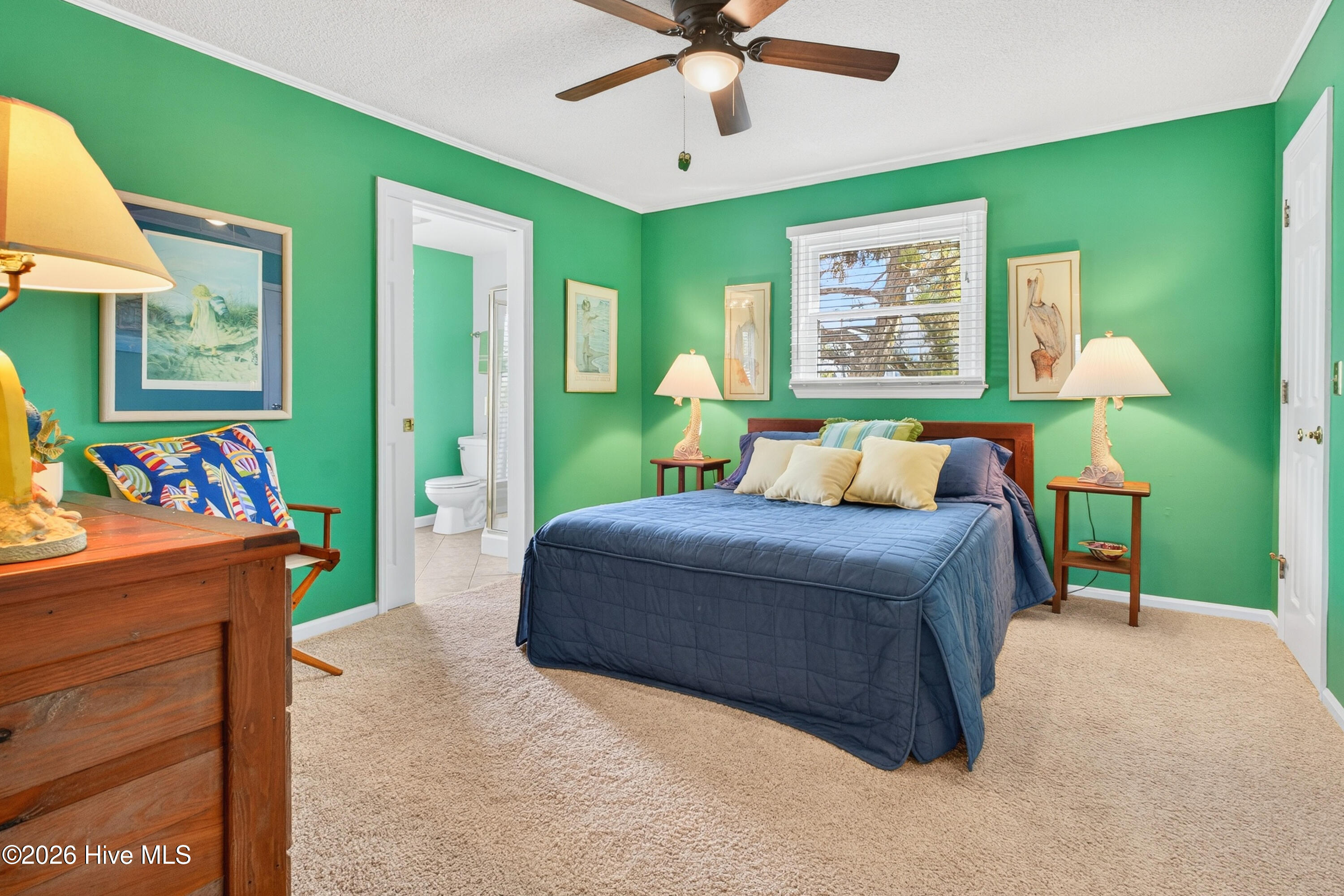 100558876 | Photo 16