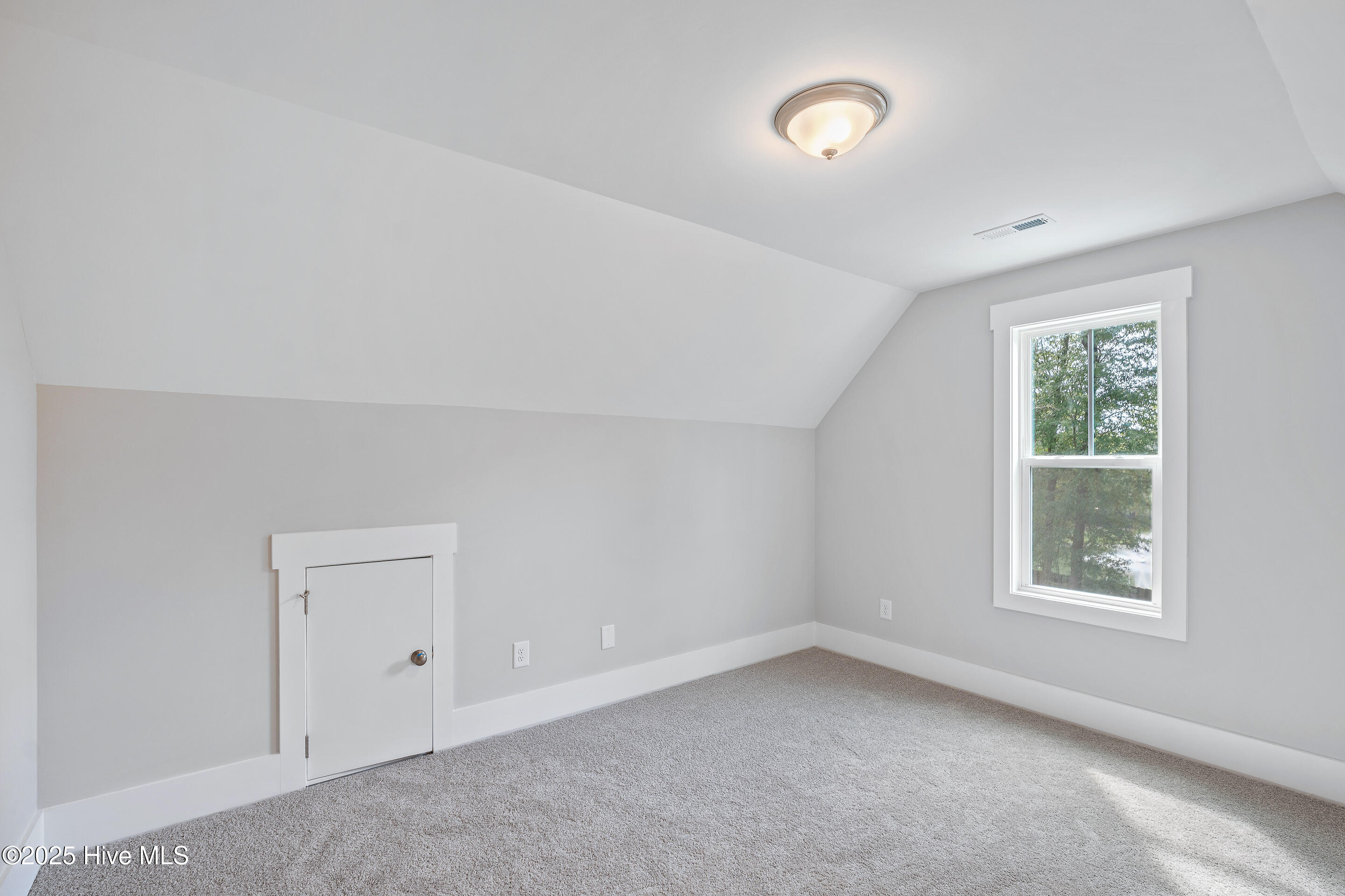 100506457 | Photo 46