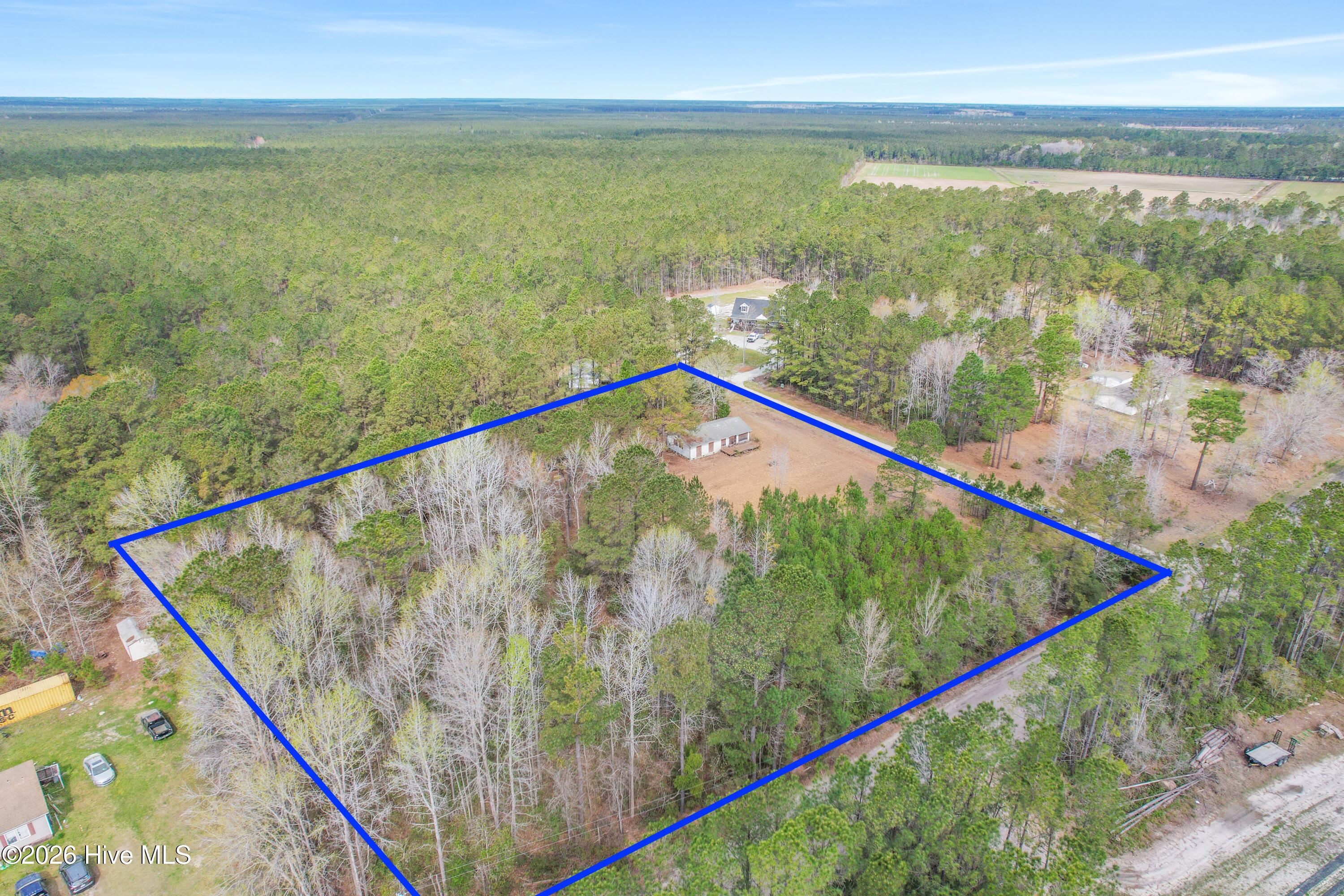 100563116 | Photo 12