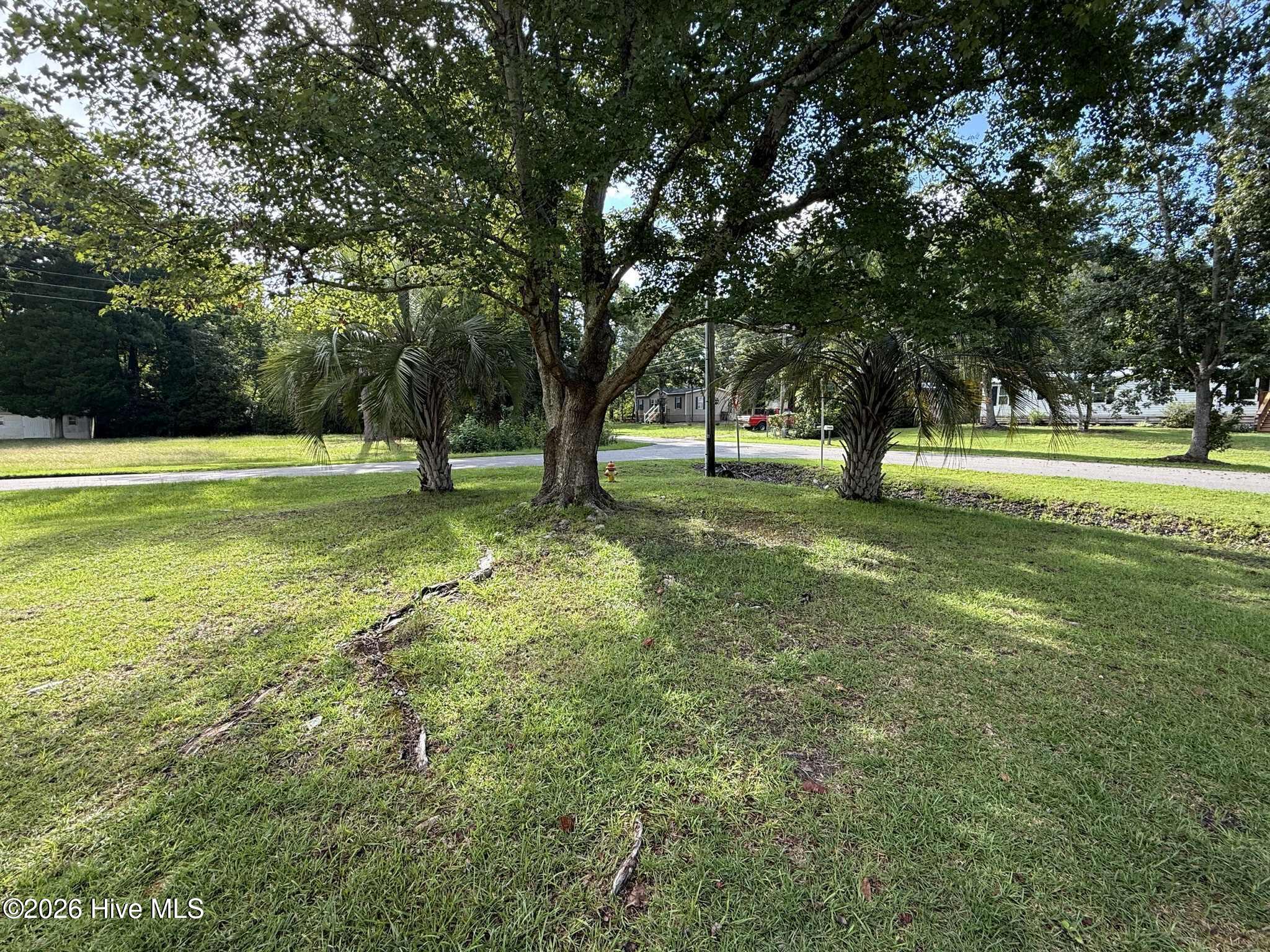 100549853 | Photo 19