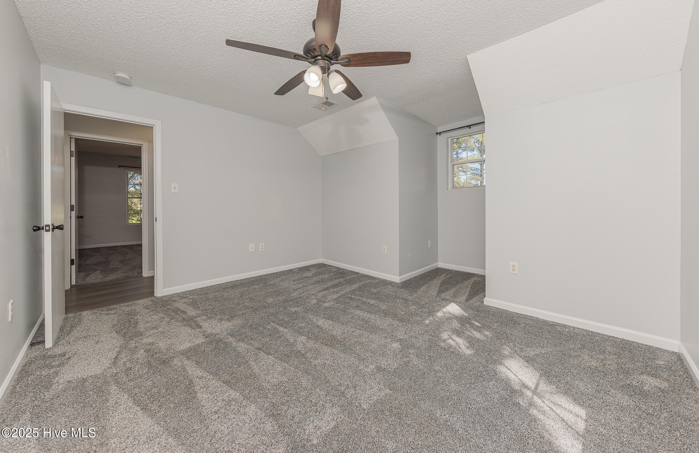 100537382 | Photo 26