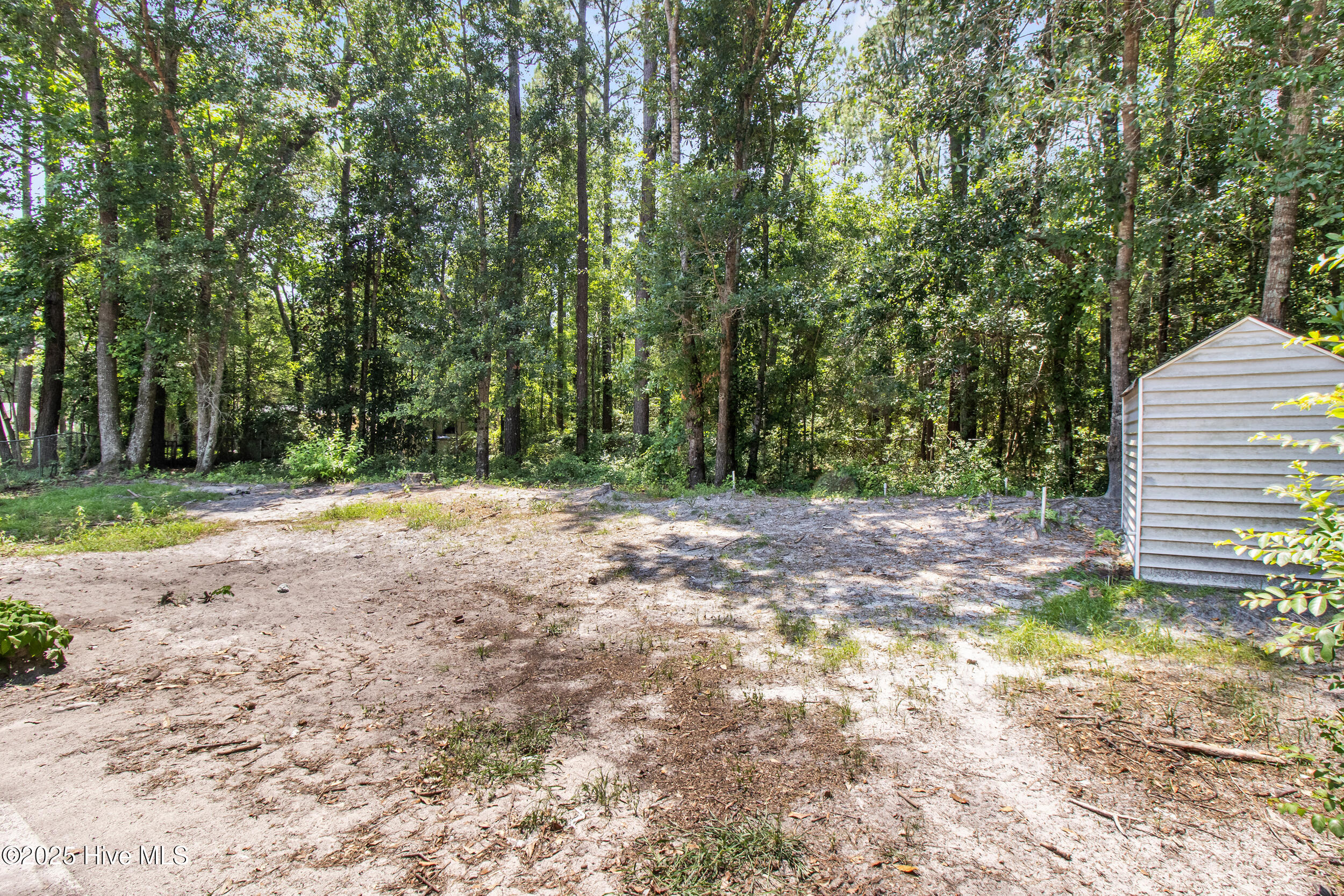 100515334 | Photo 47