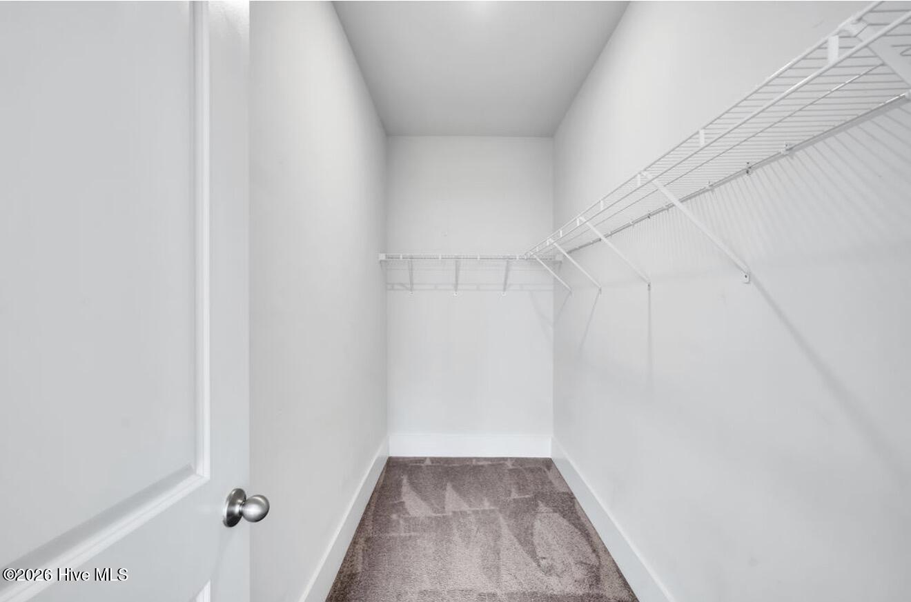 100566526 | Photo 18