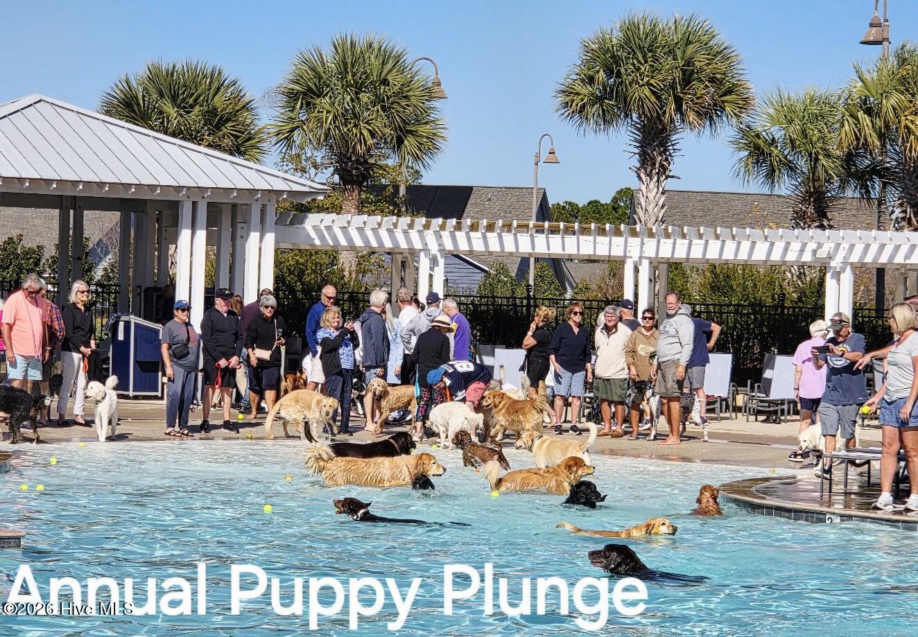 Undisclosed Address, Southport, NC, 28461