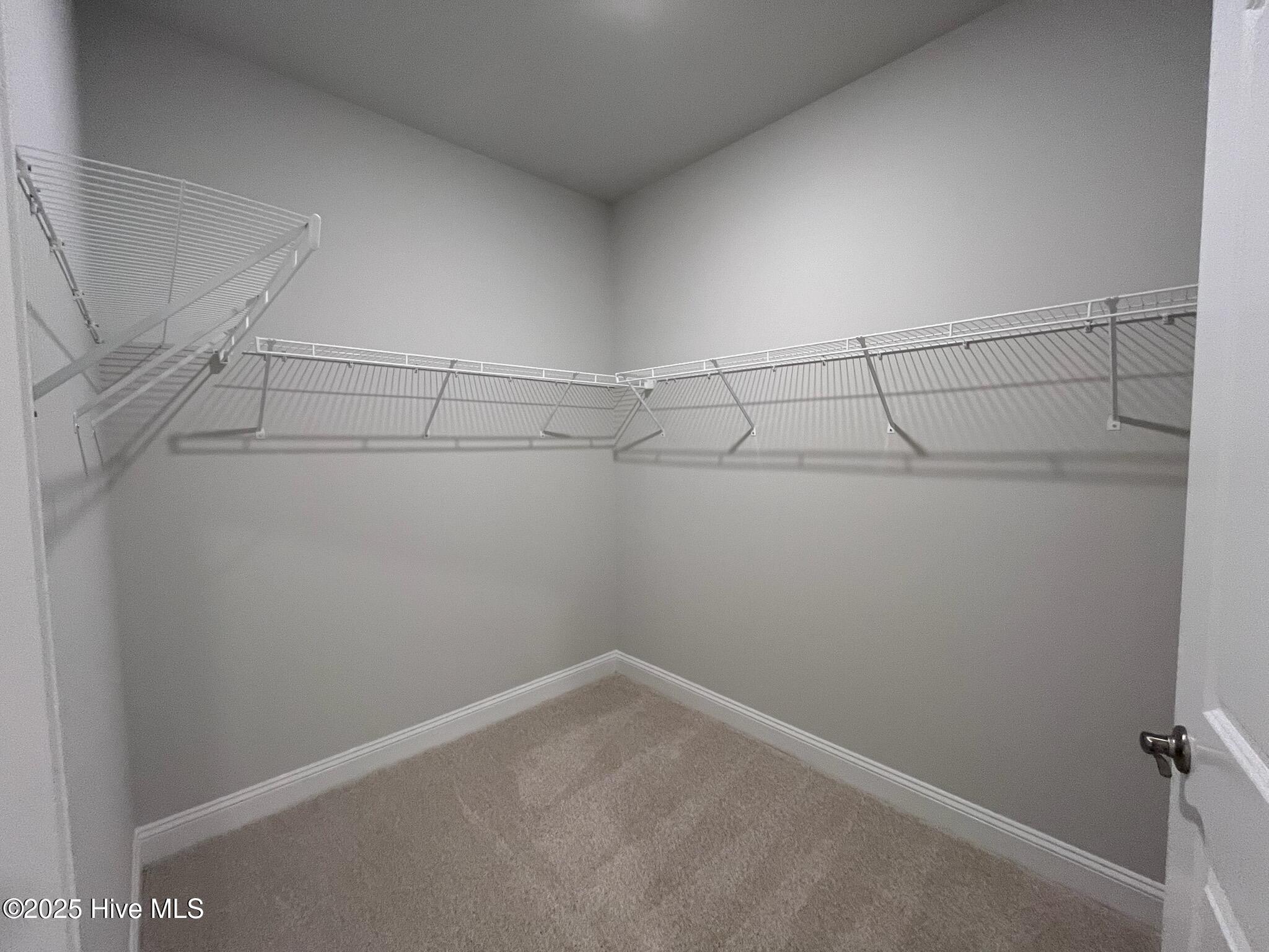 100447887 | Photo 30