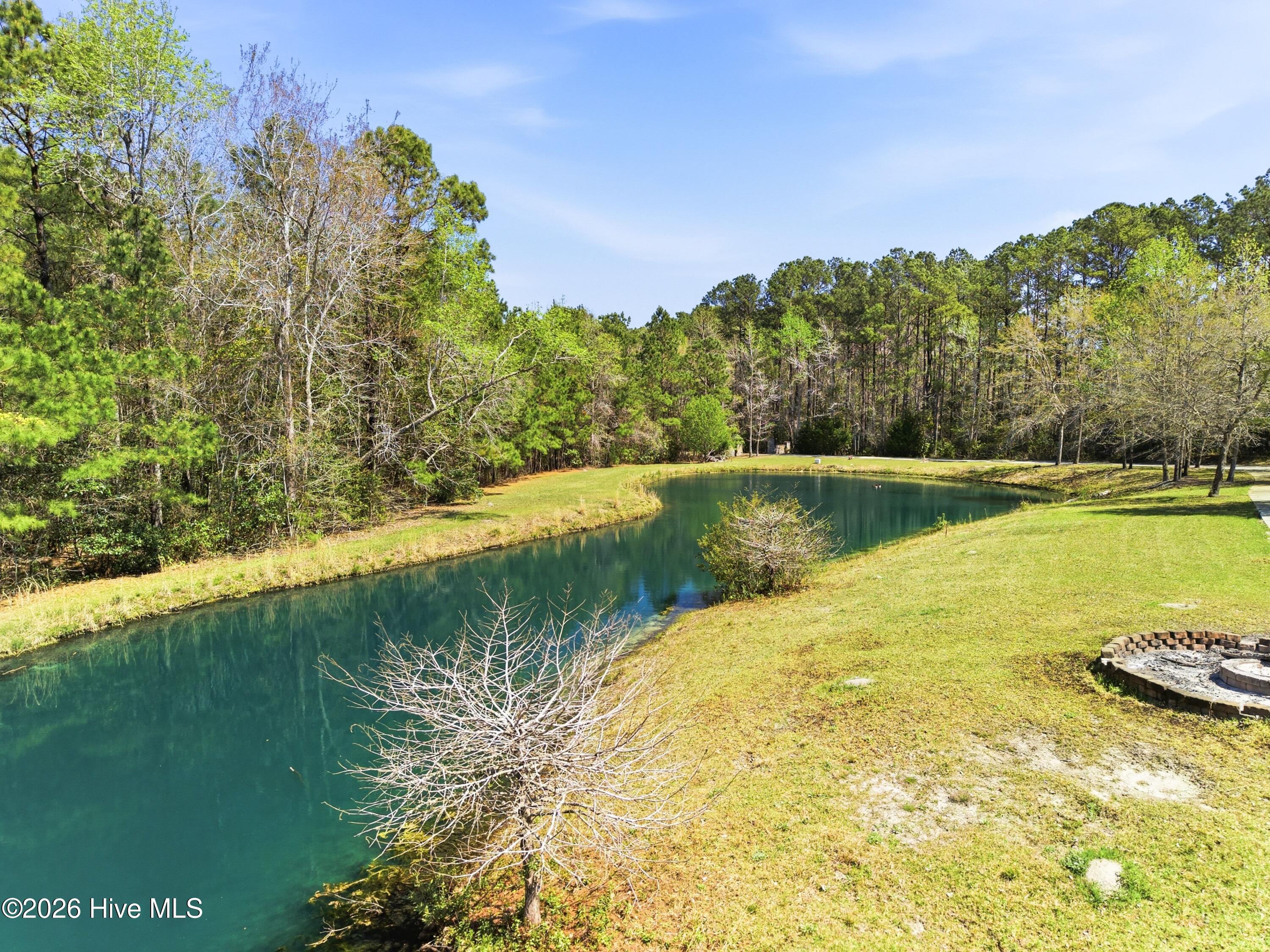 100564216 | Photo 50