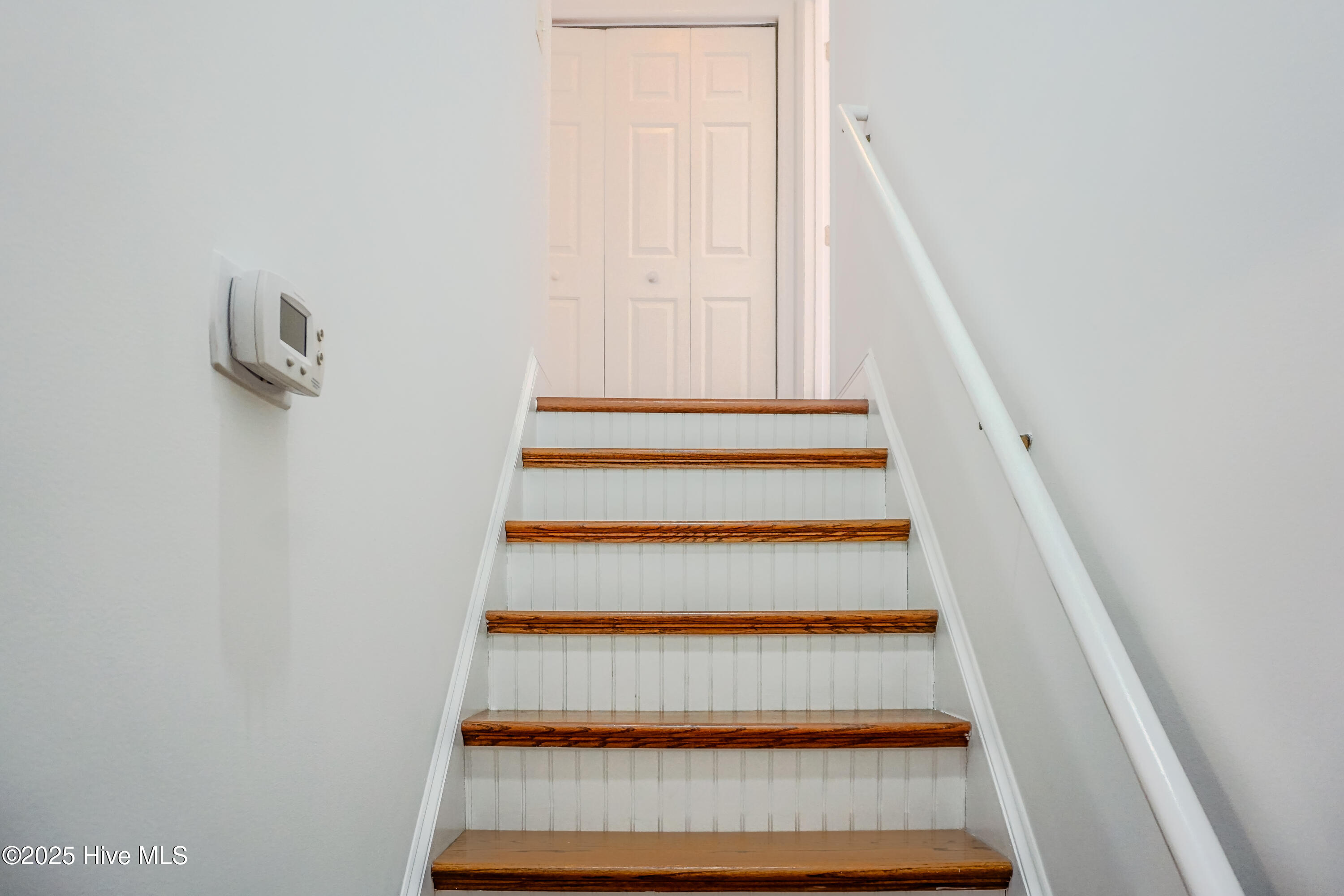 100546237 | Photo 29