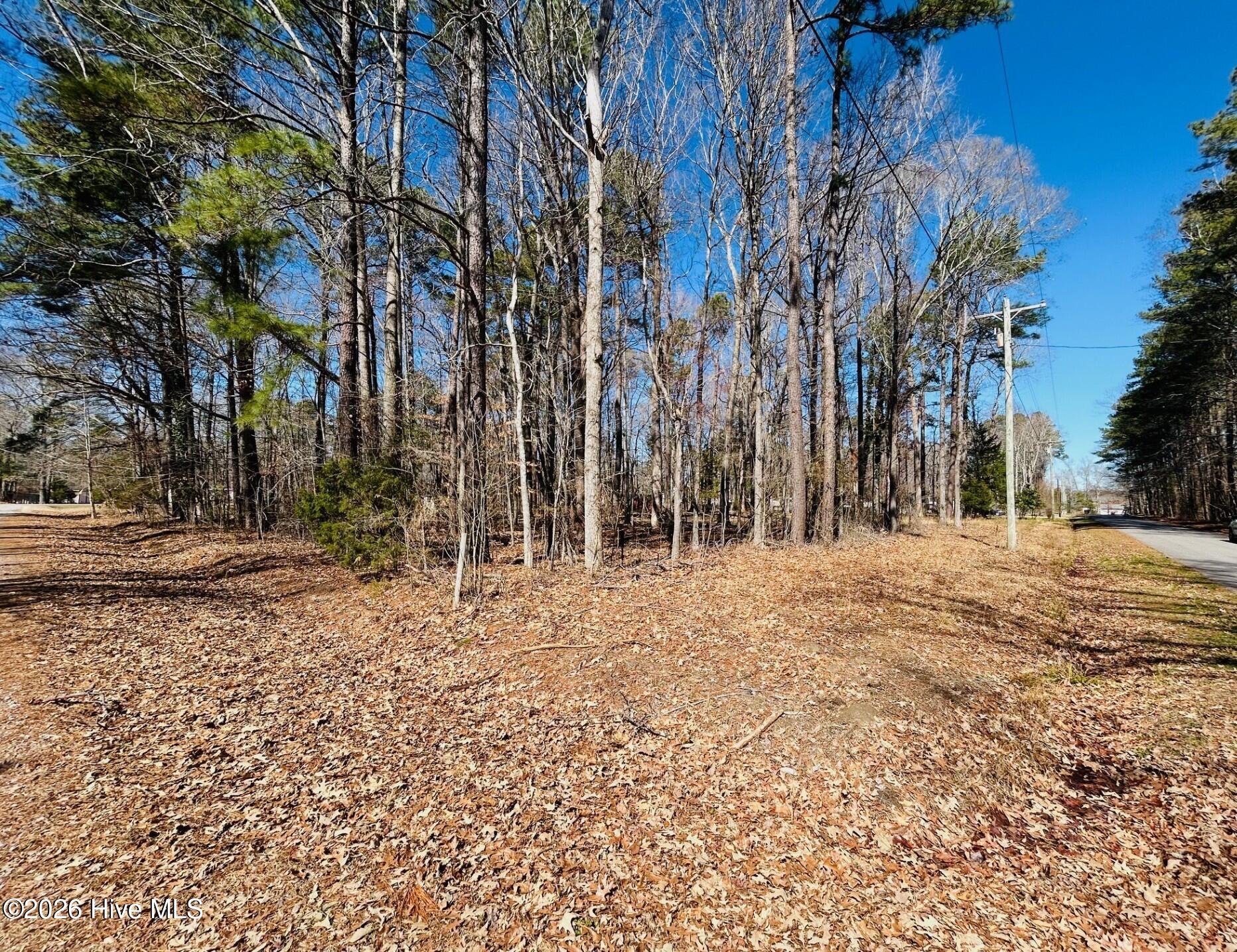 0 Marie  lot 15 Marie Avenue Avenue, Midway, GA, 31320