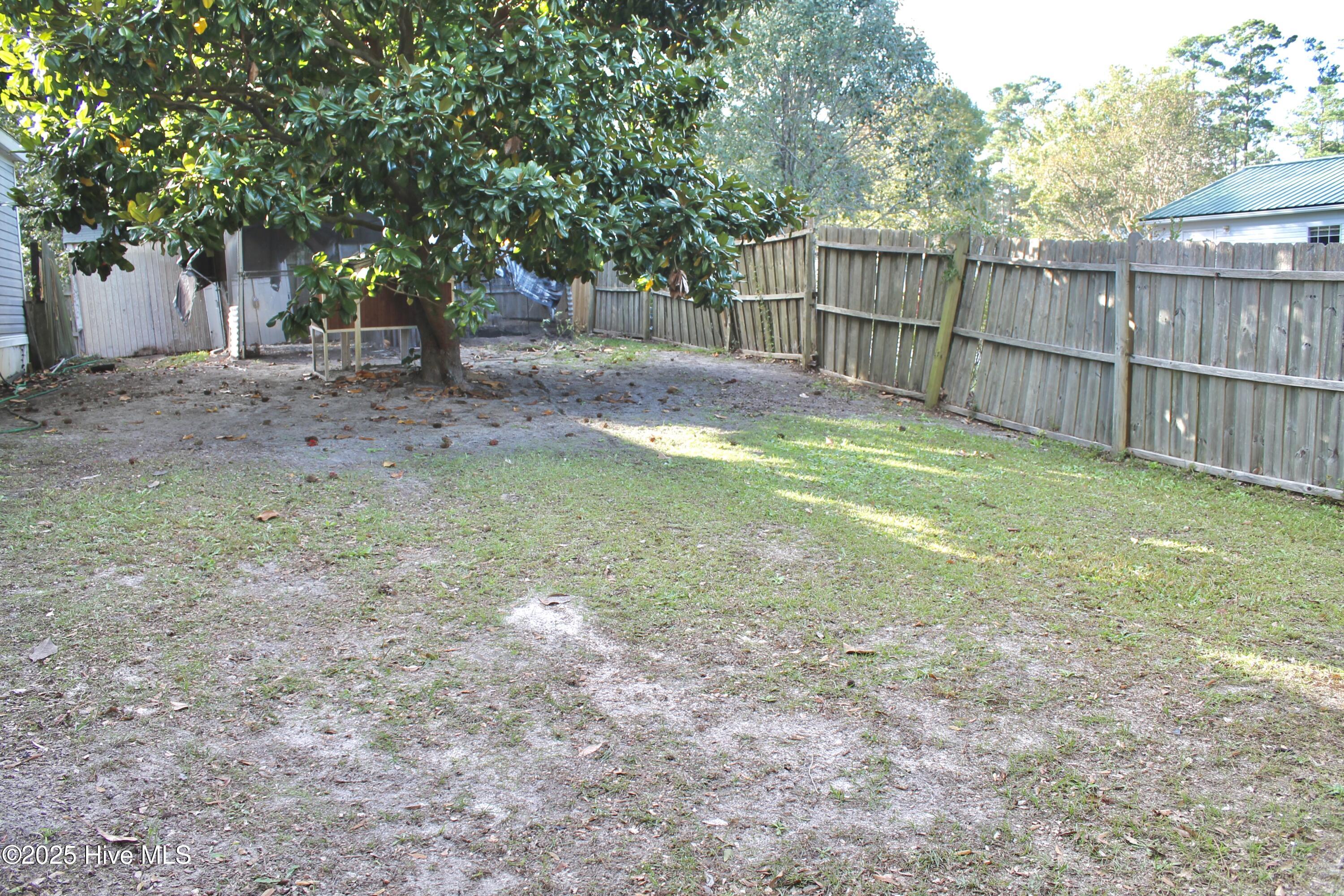 100537784 | Photo 17