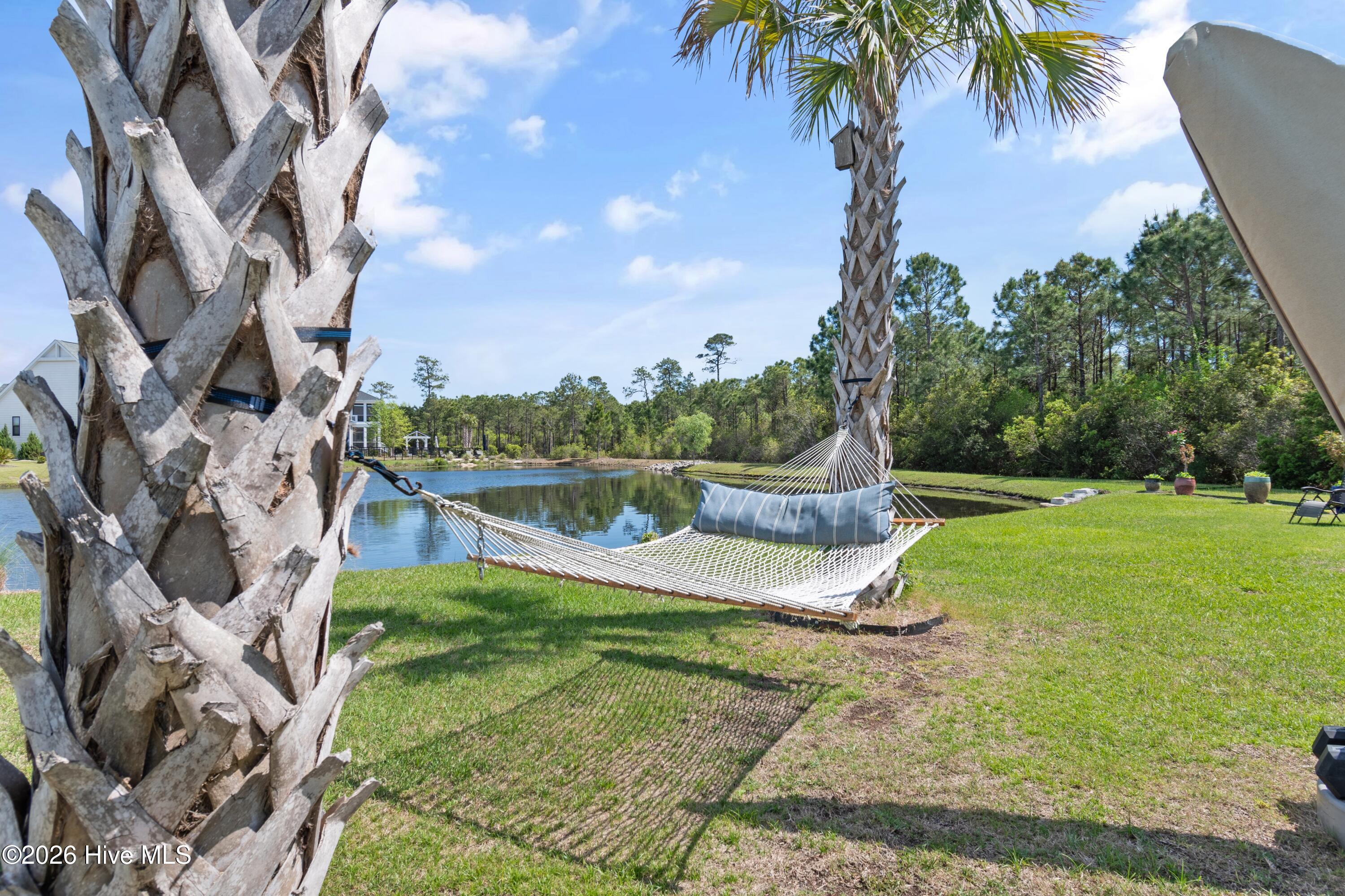 100560288 | Photo 96